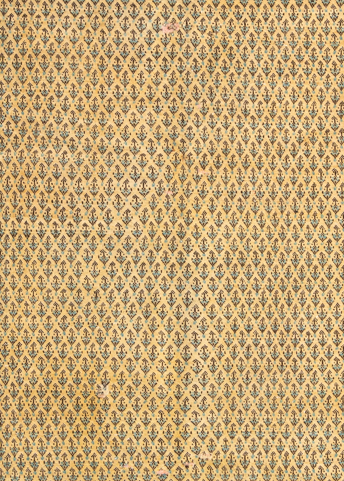 289x181 Vintage