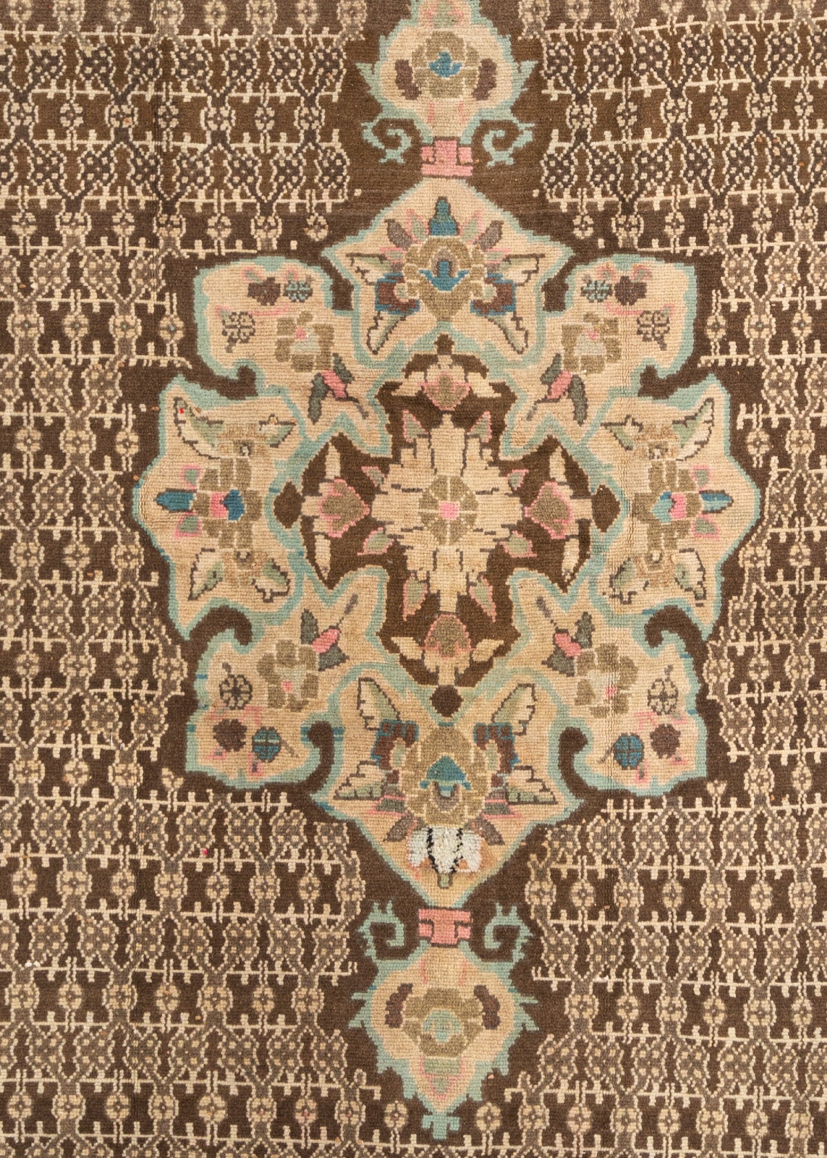 350 x 145 Arak
