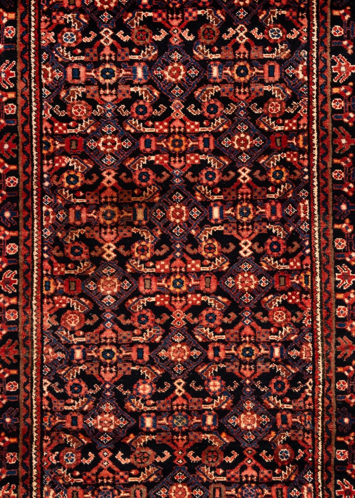 312x110 Arak