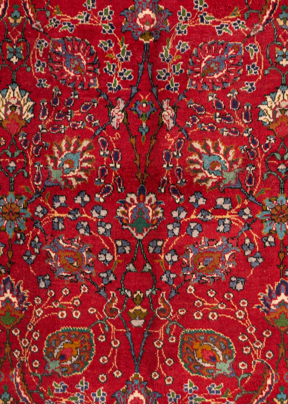 382 x 308 Täbriz