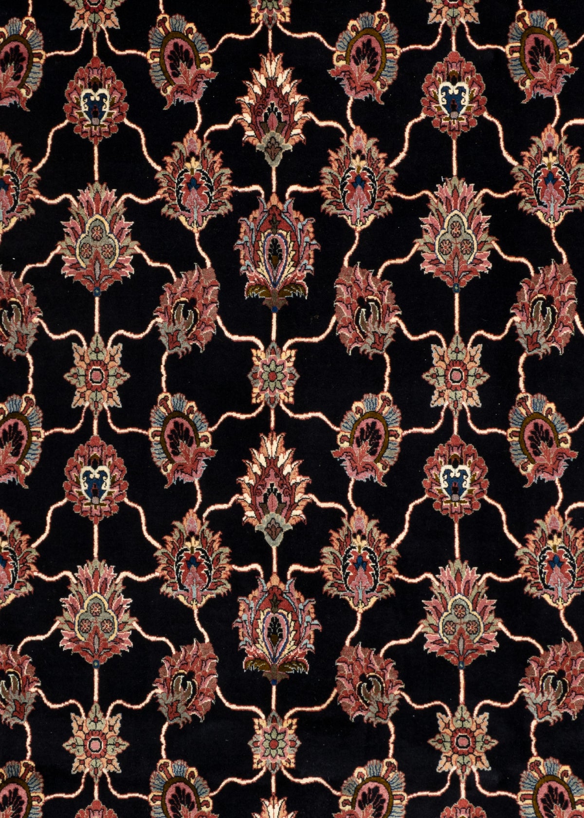 310 x 253 Bidjar fein