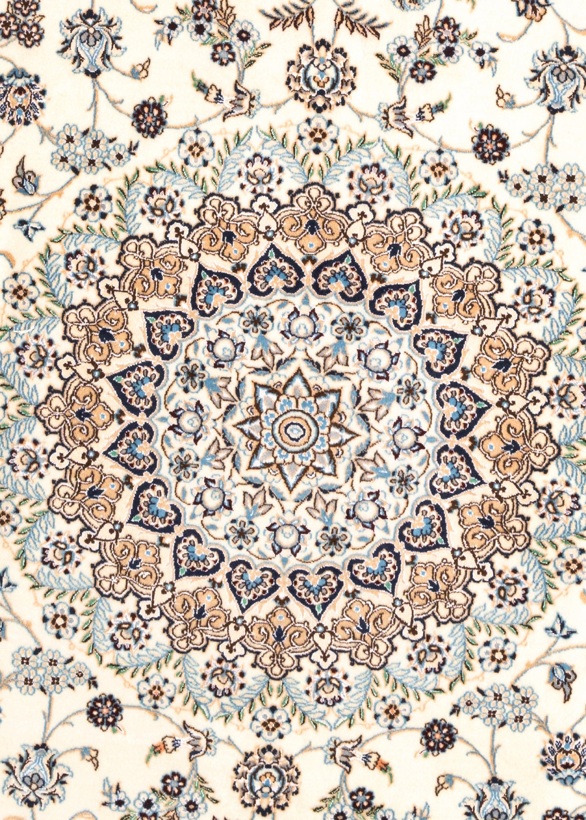 200 x 198 Nain 6 La