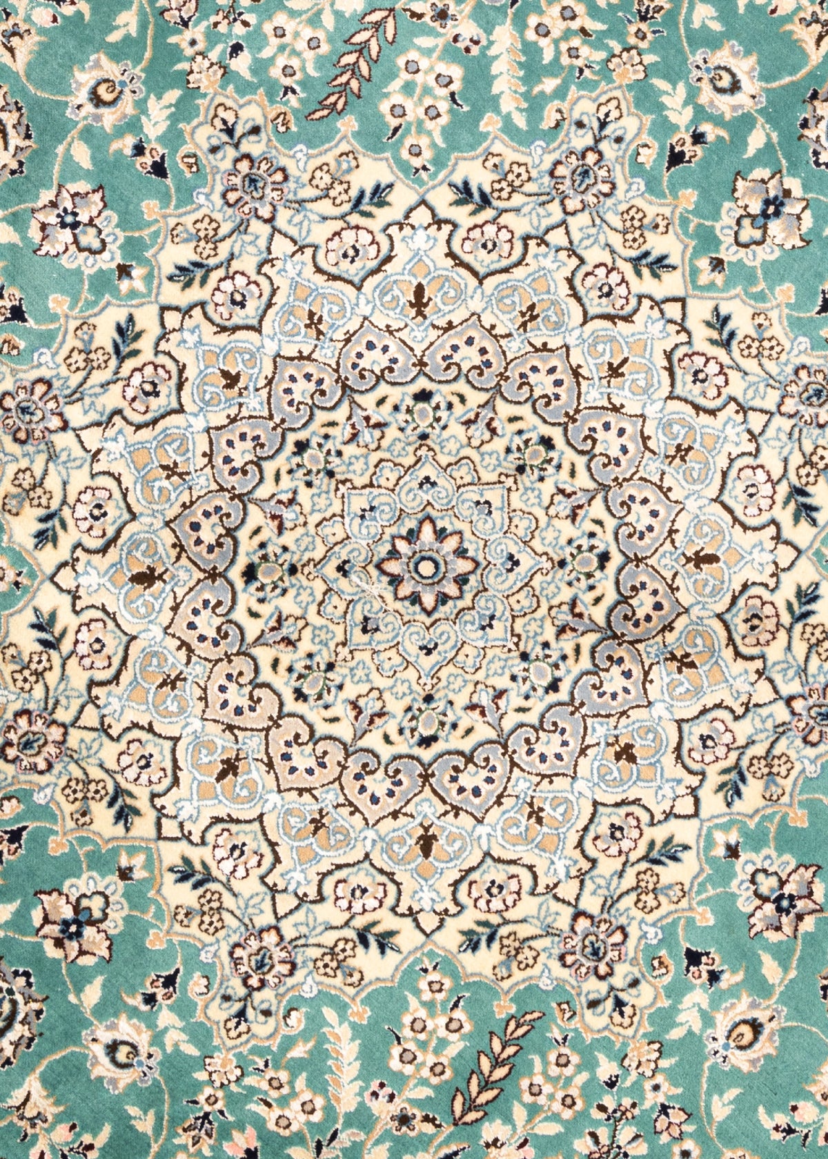 210 x 205 Nain 6 La