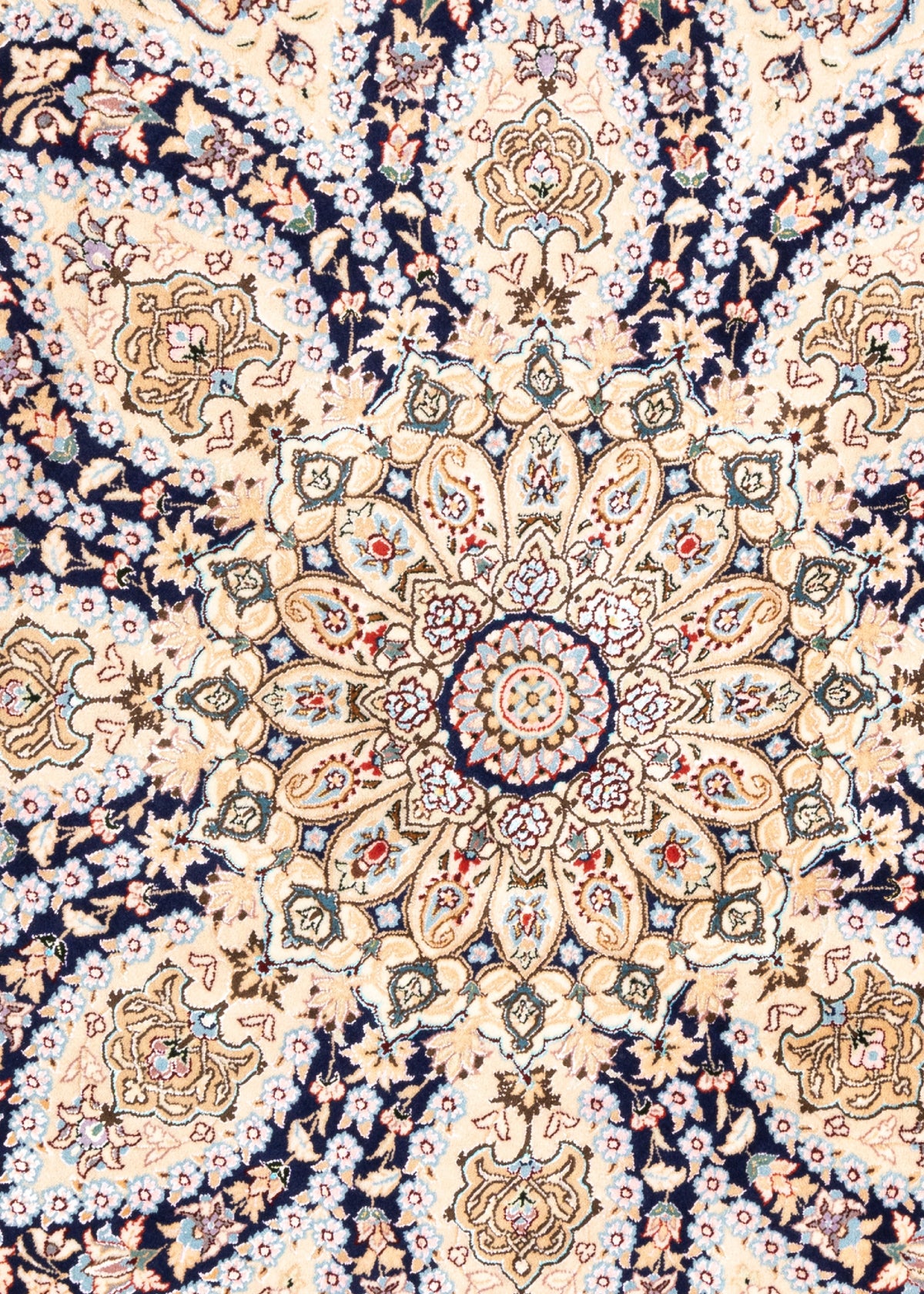 208 x 205 Nain 6 La