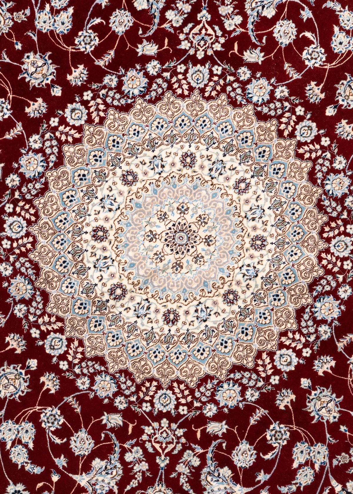 248 x 246 Nain 6 La