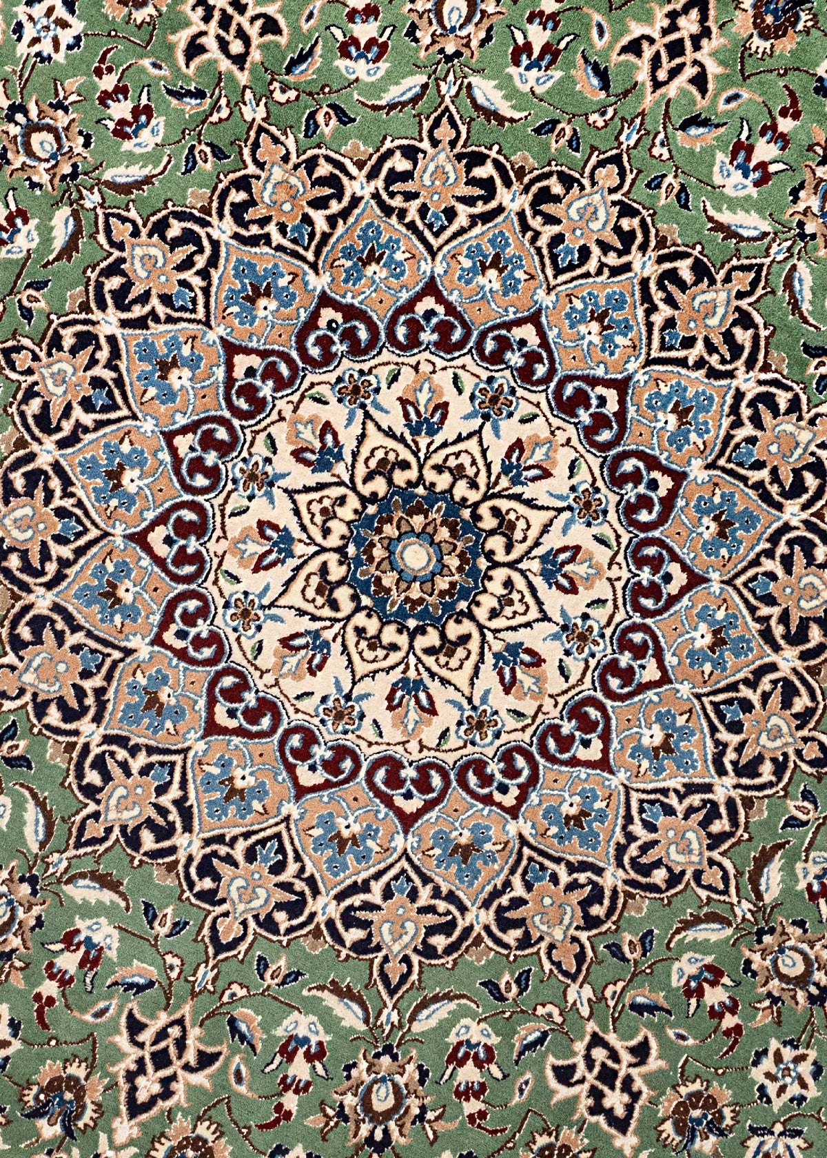 254 x 252 Nain 9 La