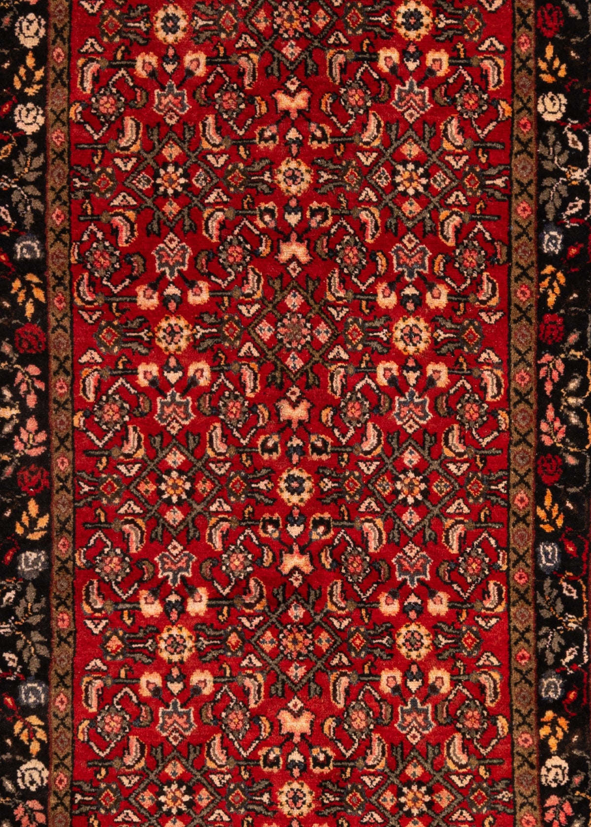 287 x 98 Hamadan