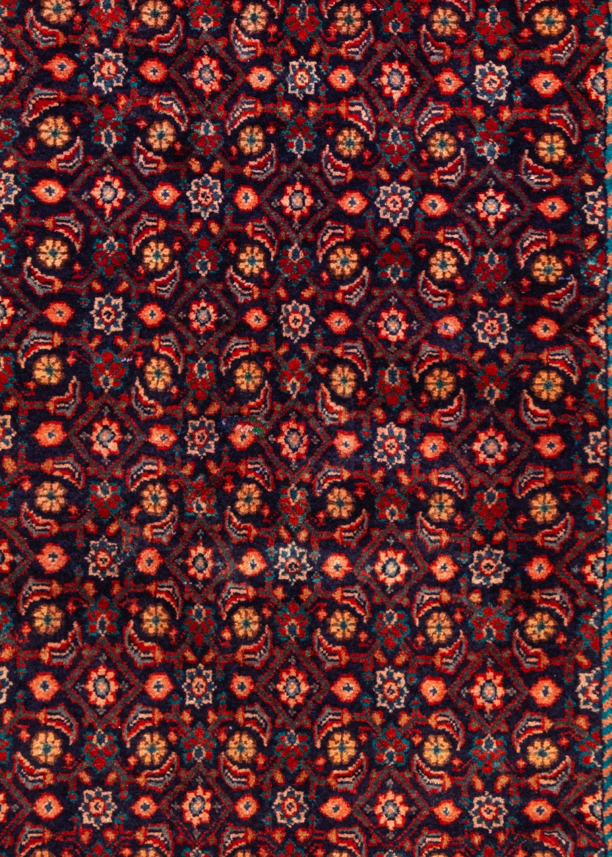 290 x 107 Hamadan