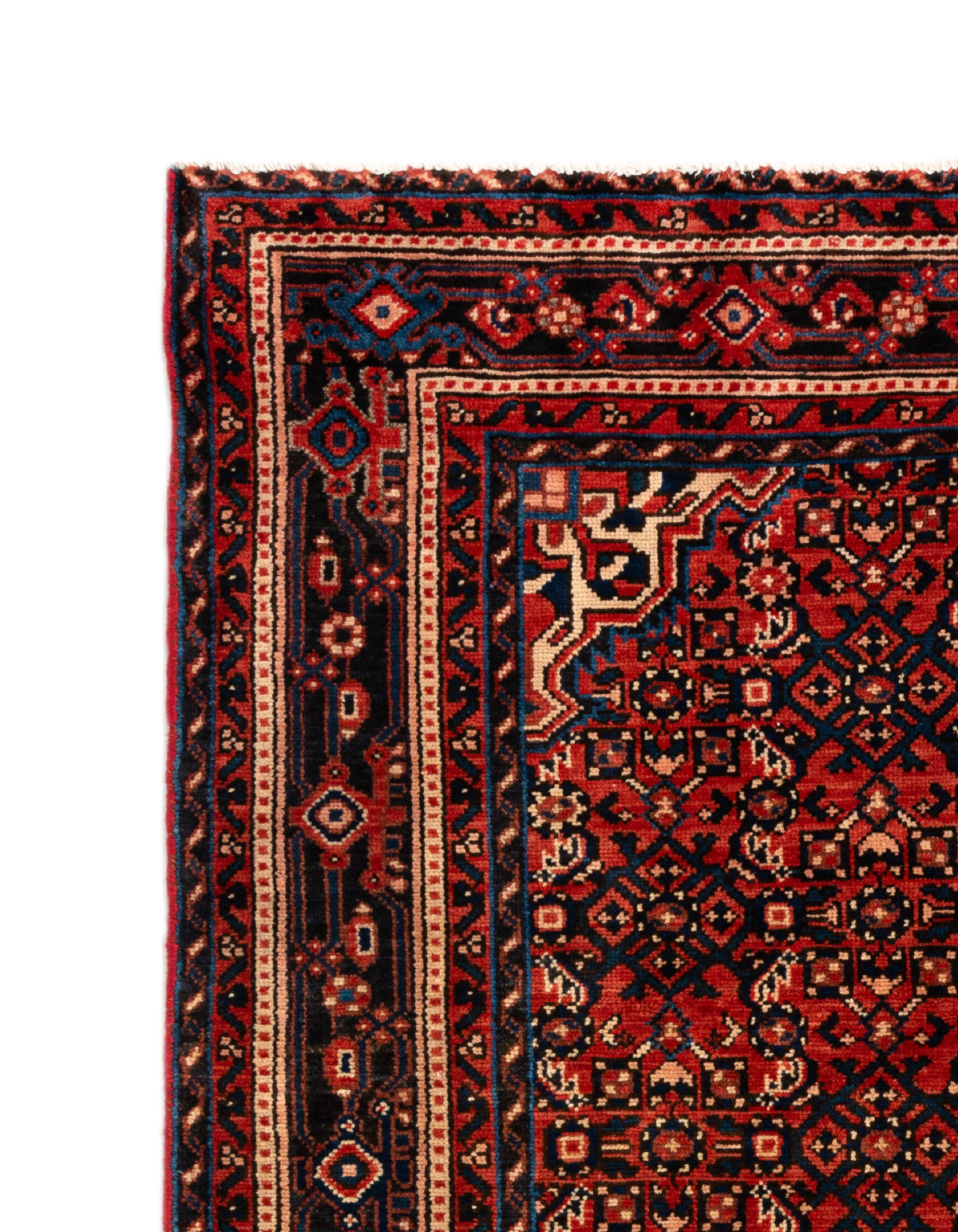 235 x 153 Hamadan