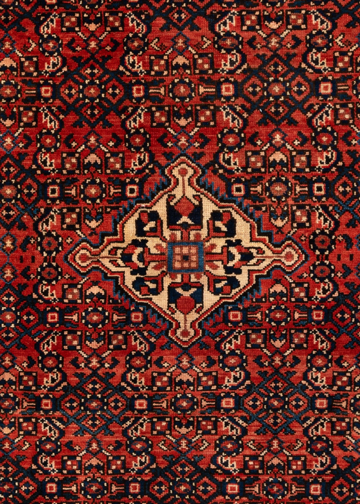 235 x 153 Hamadan