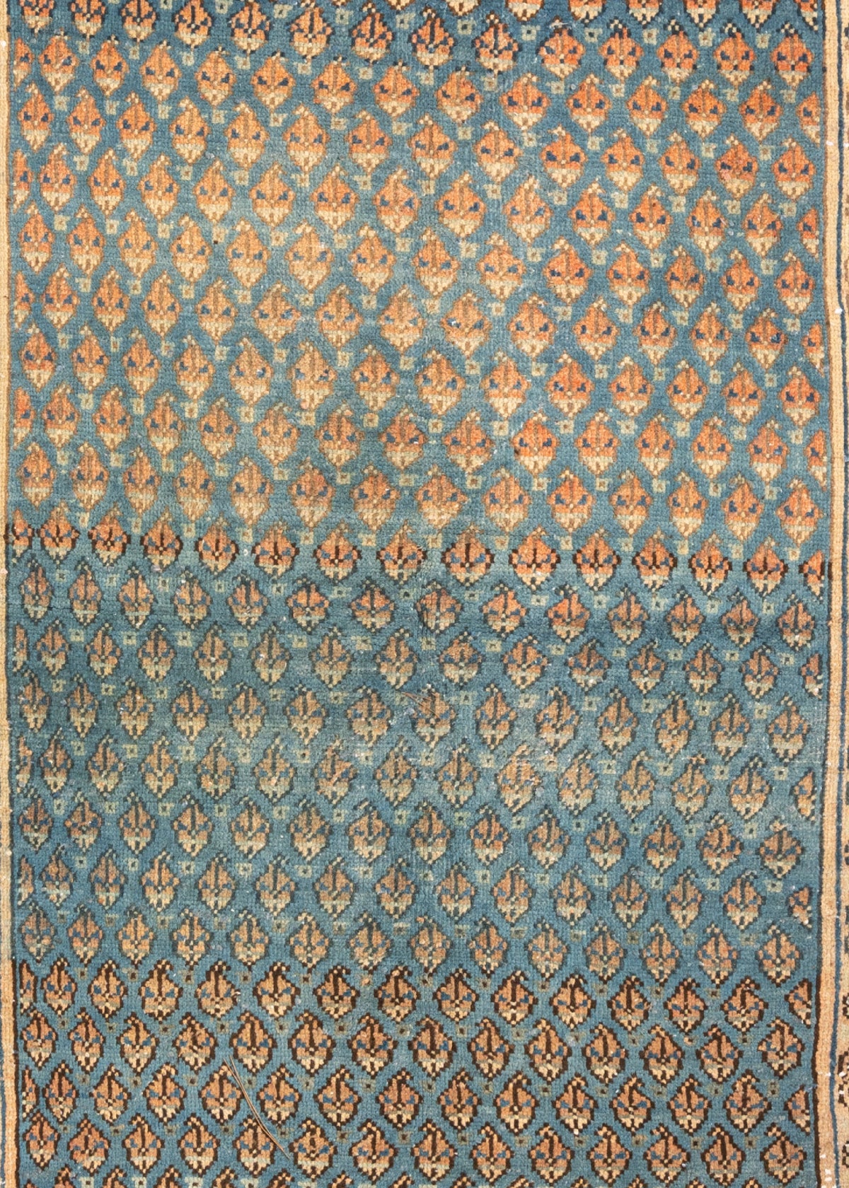 307 x 101 Hamadan