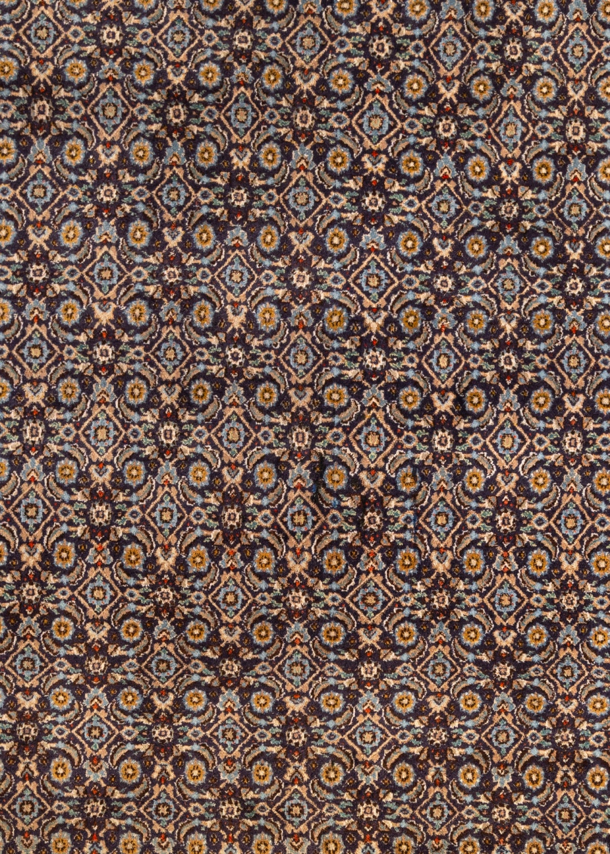 392 x 307 Täbriz