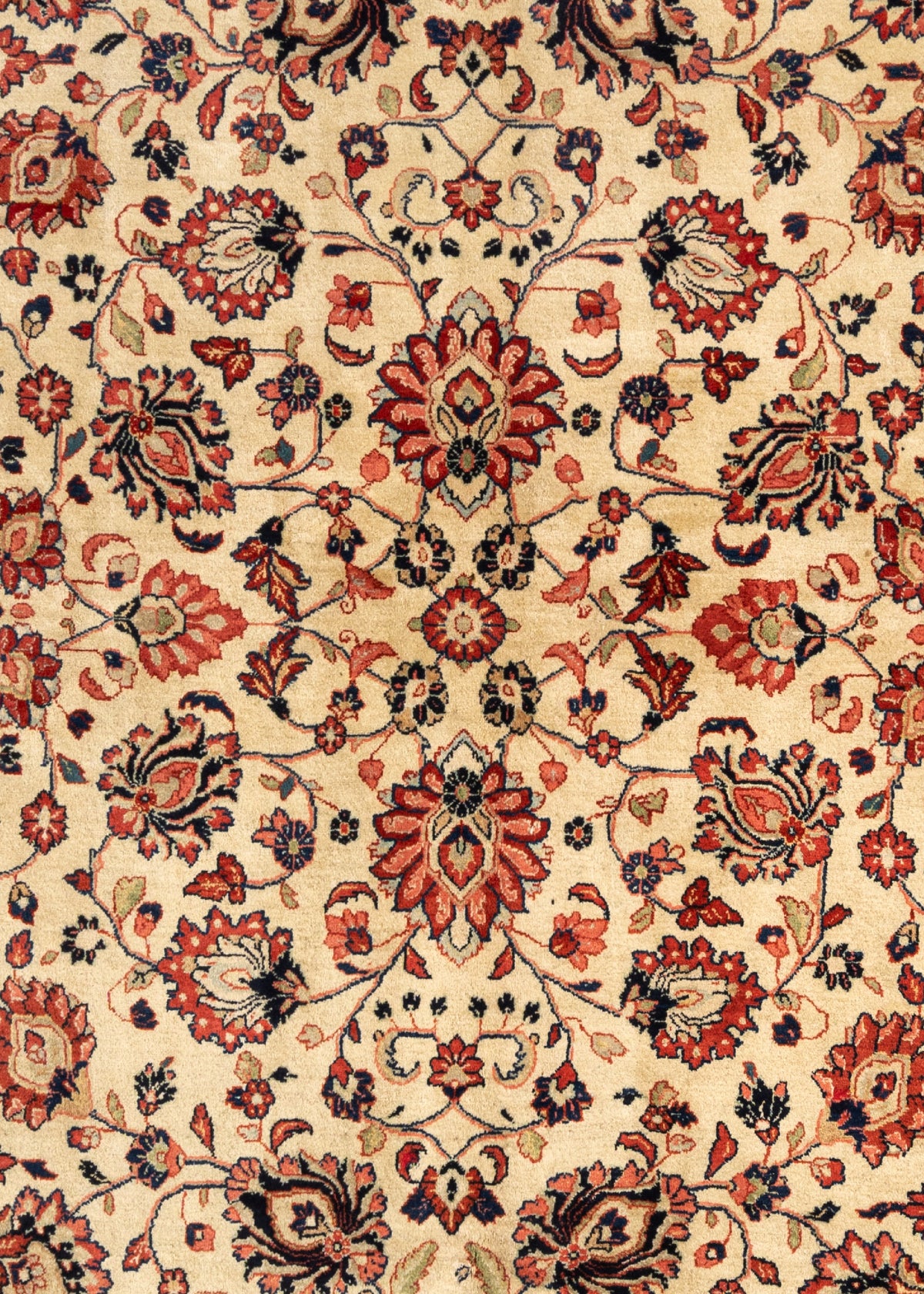 384 x 269 Saruk