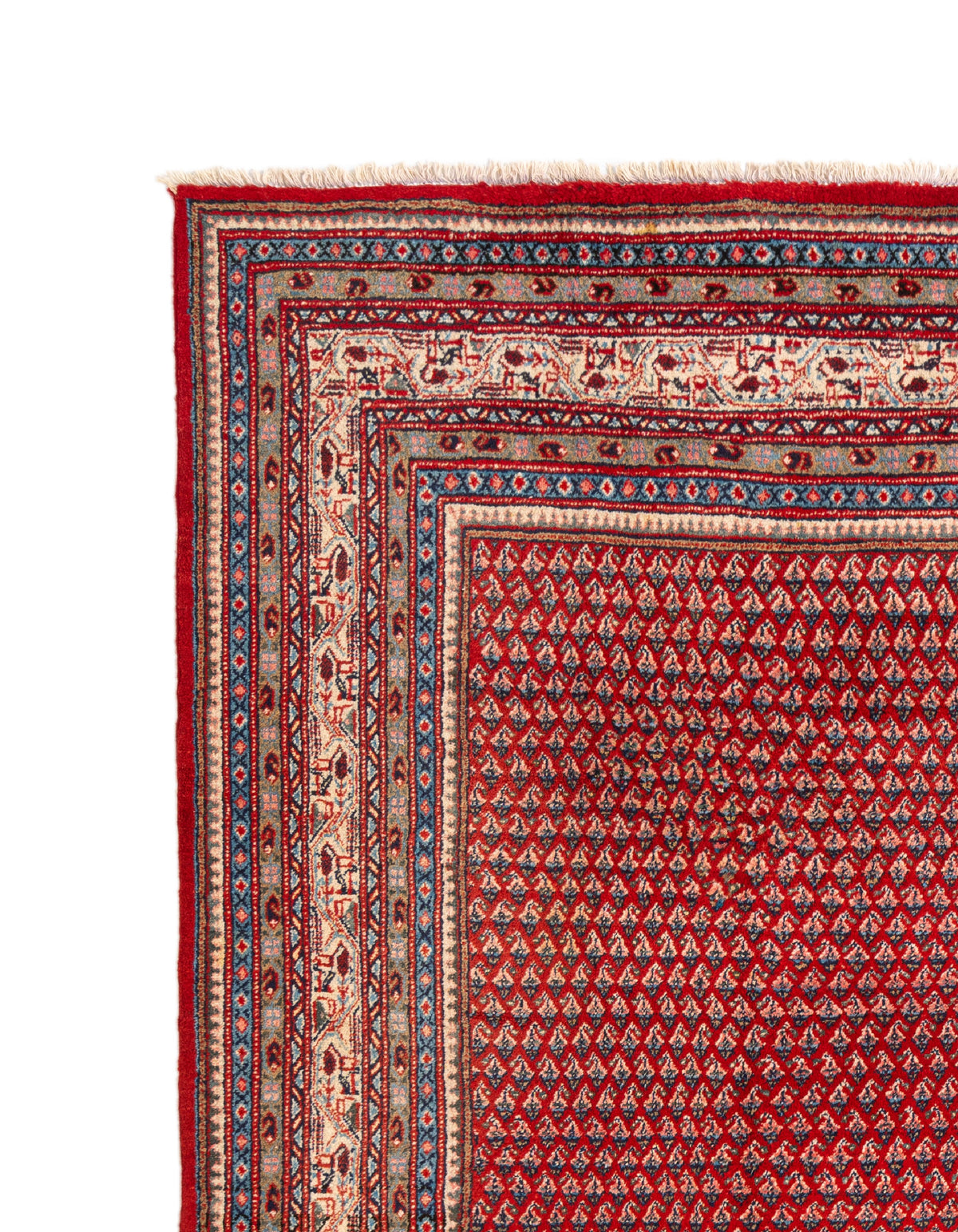 390x294 Sarough Mir
