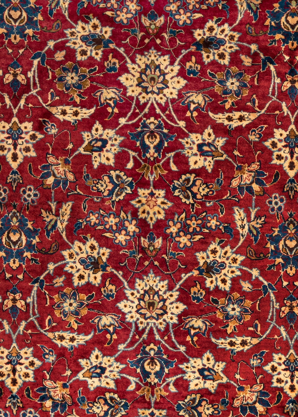 337 x 240 Saruk