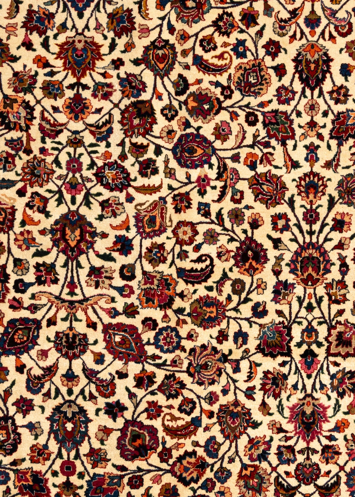 529 x 354 Mashhad sabar