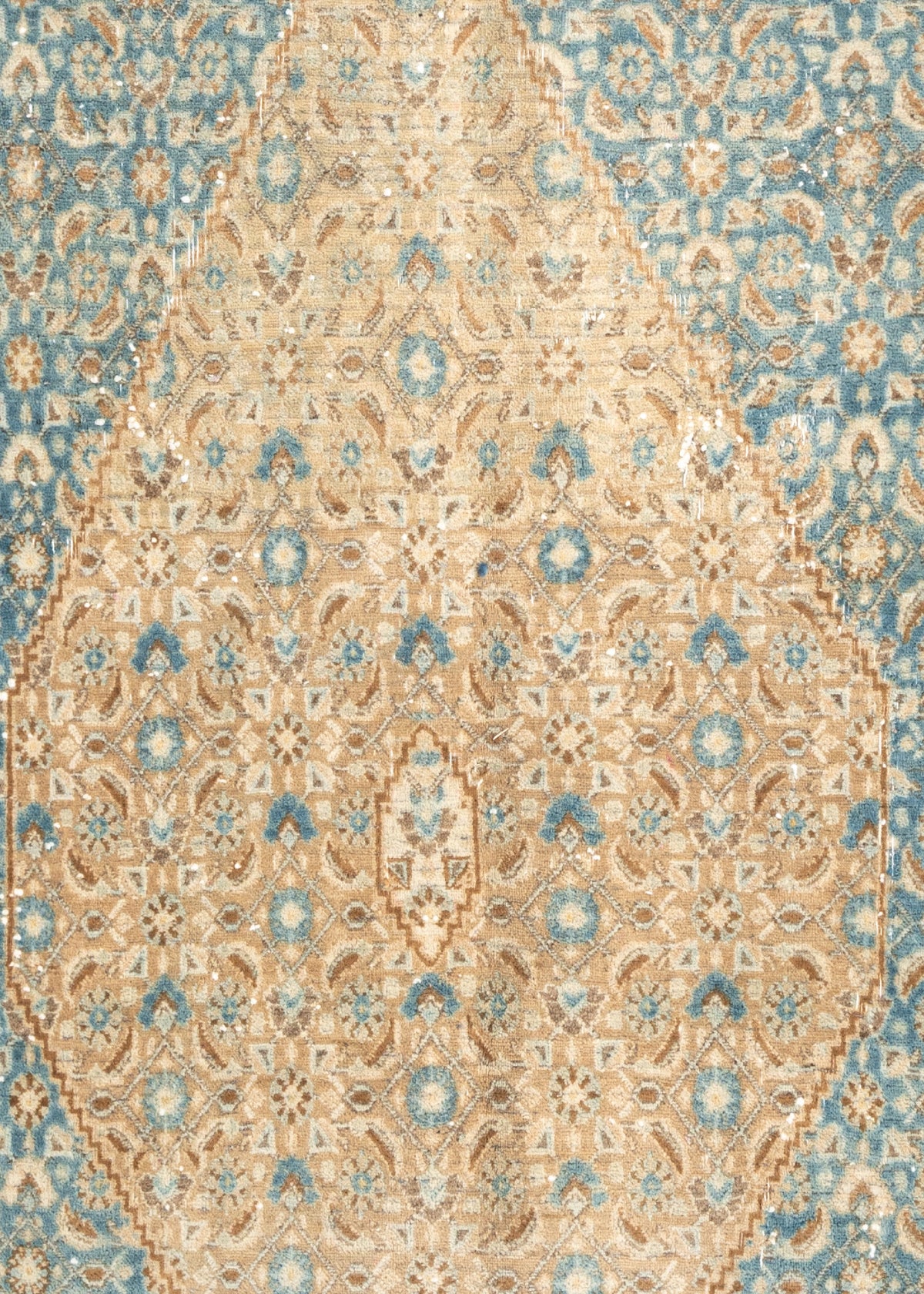 212 x 162 Arak