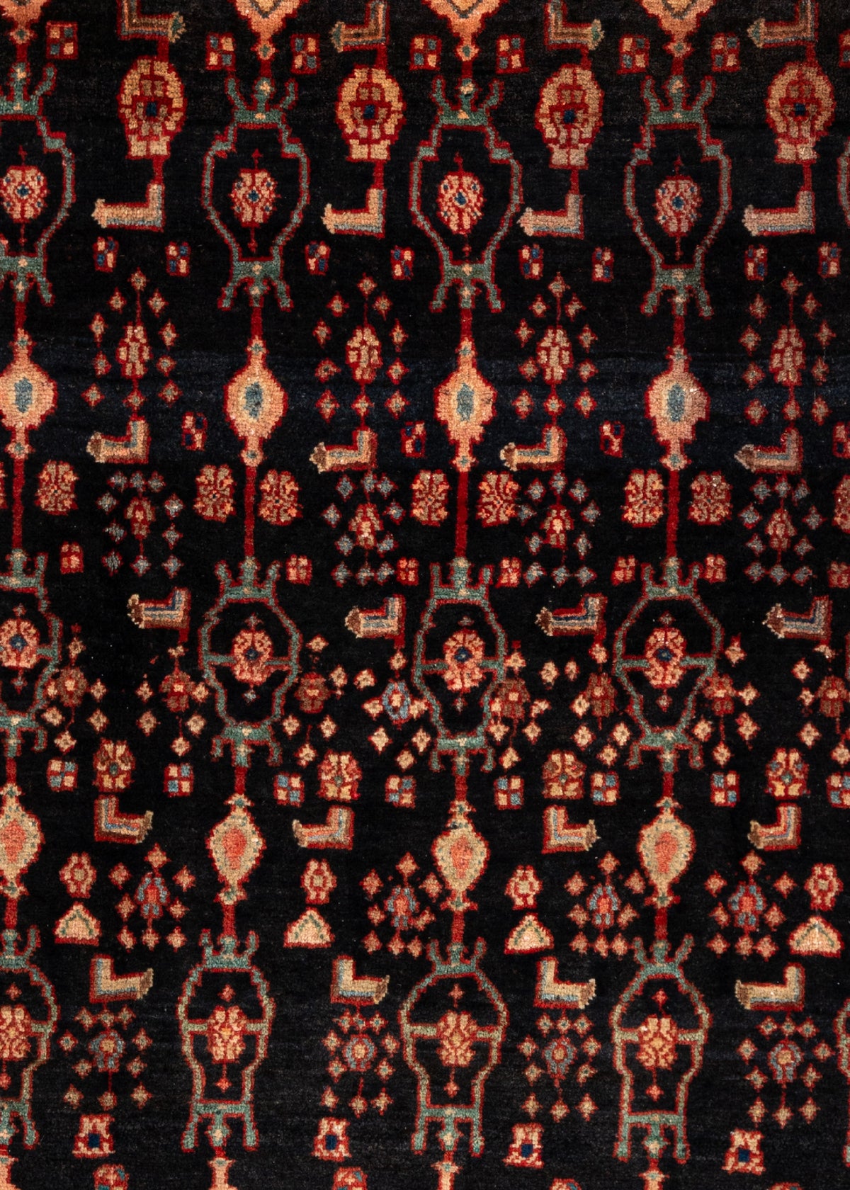 193 x 135 Bidjar