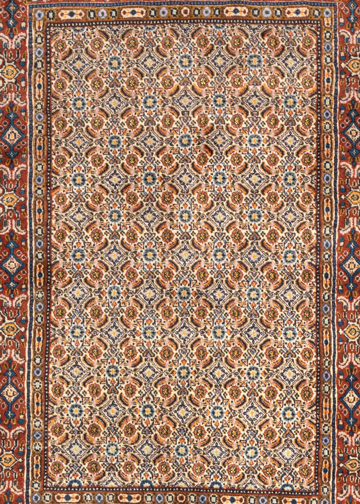 115x77 Moud
