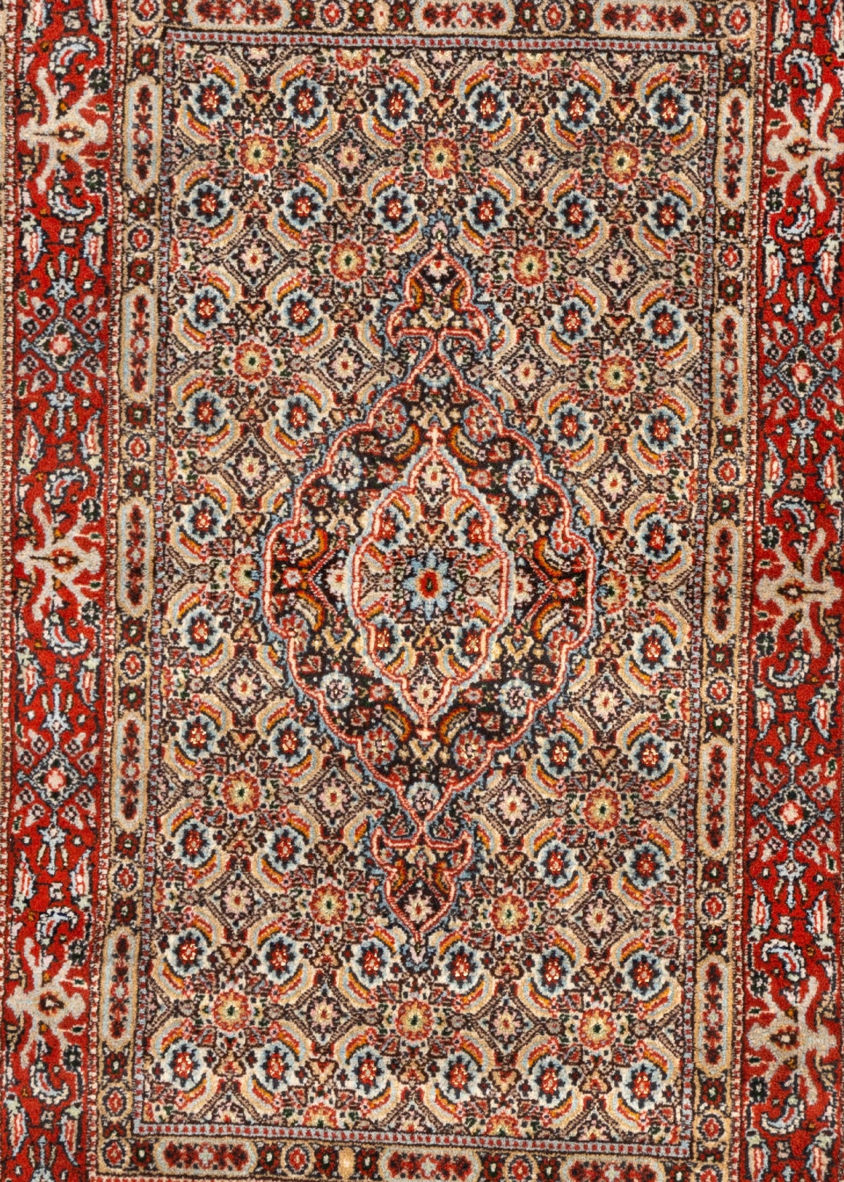 125 x 77 Moud