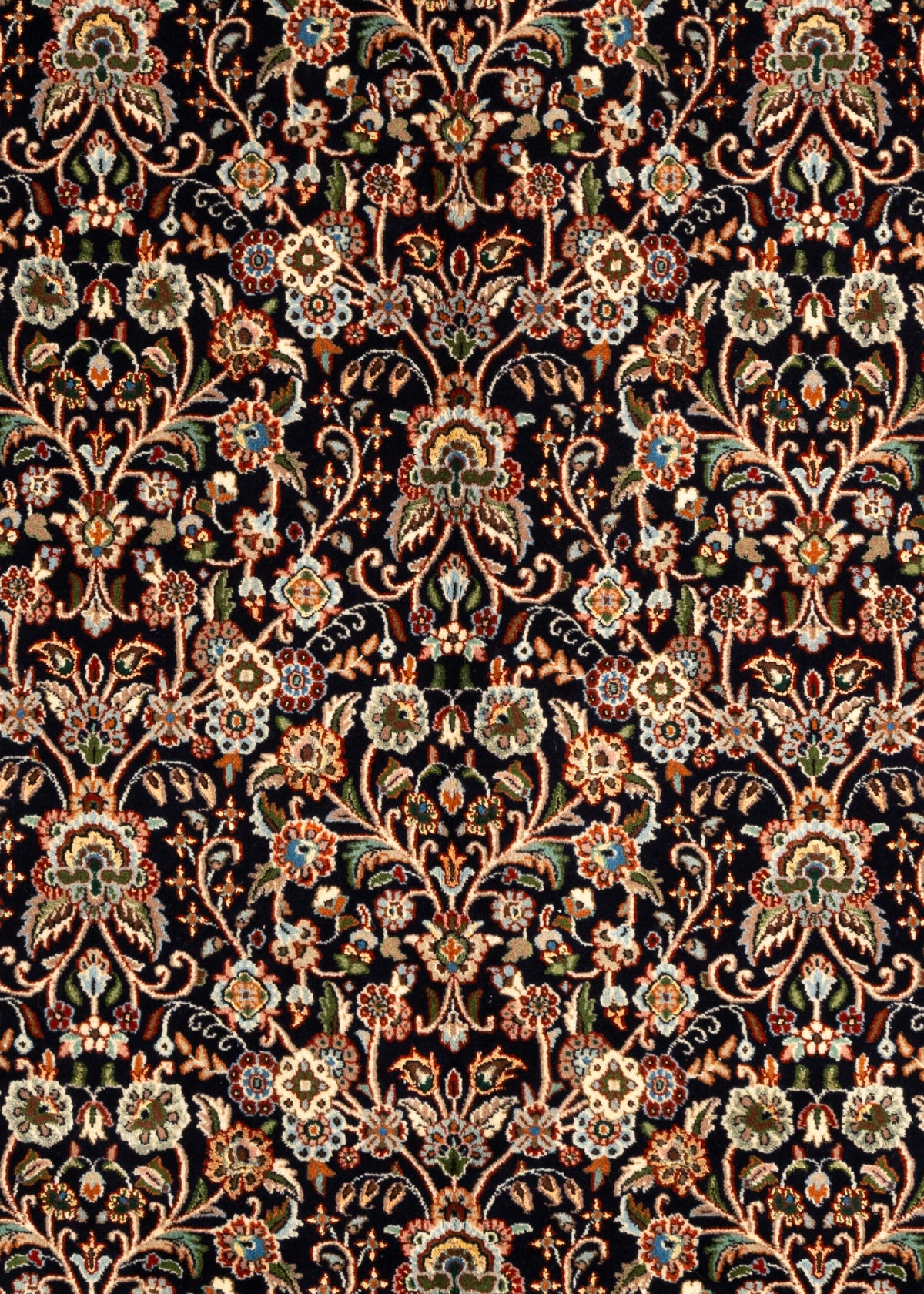 279x225 Moud
