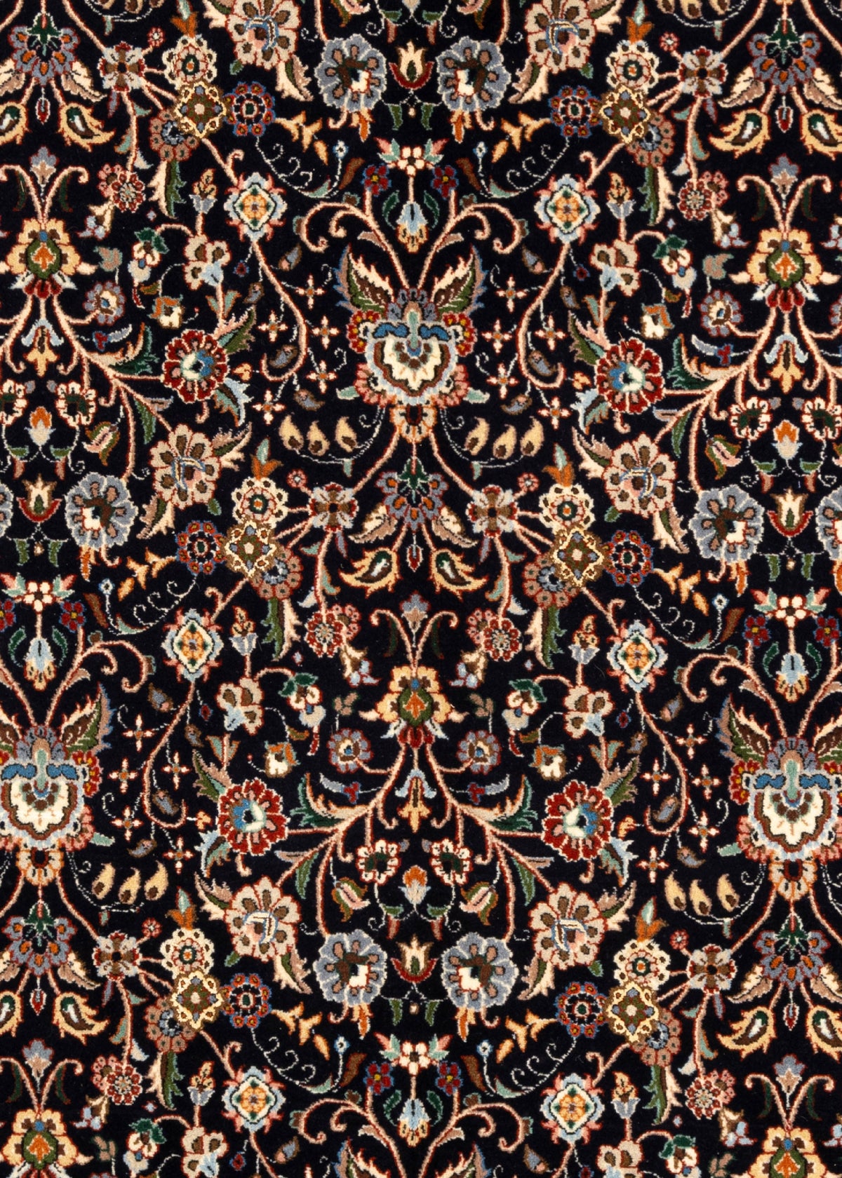 198 x 196 Moud
