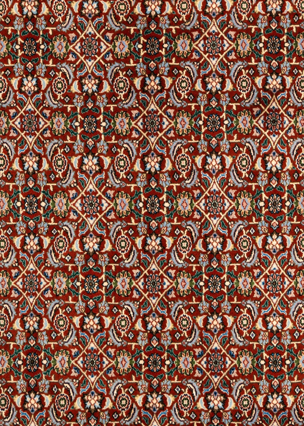 303 x 189 Moud