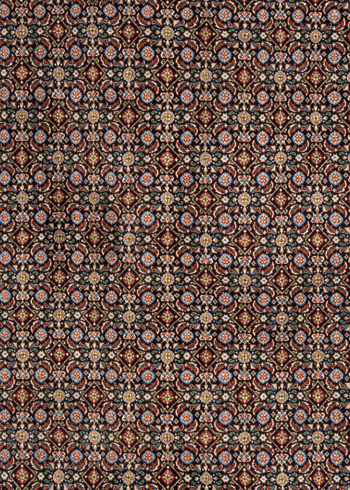 298 x 207 Moud