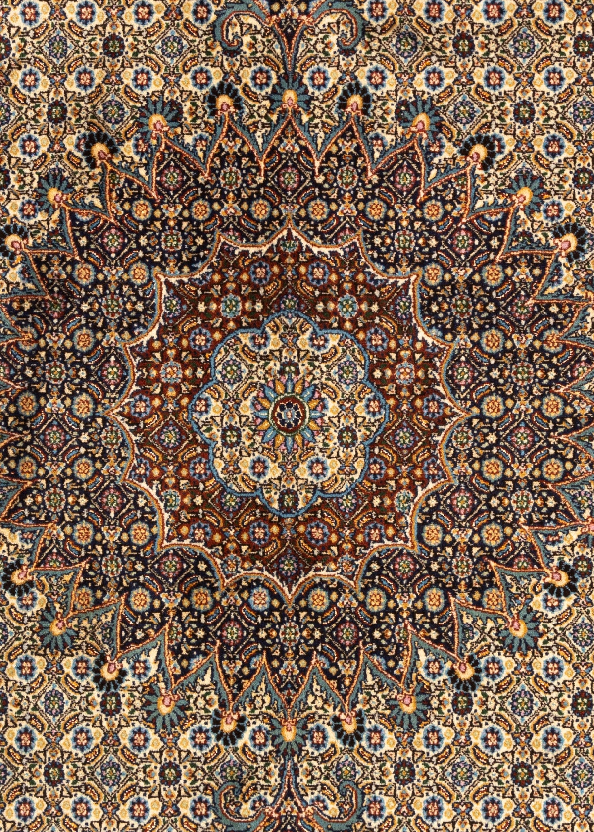 295 x 194 Moud