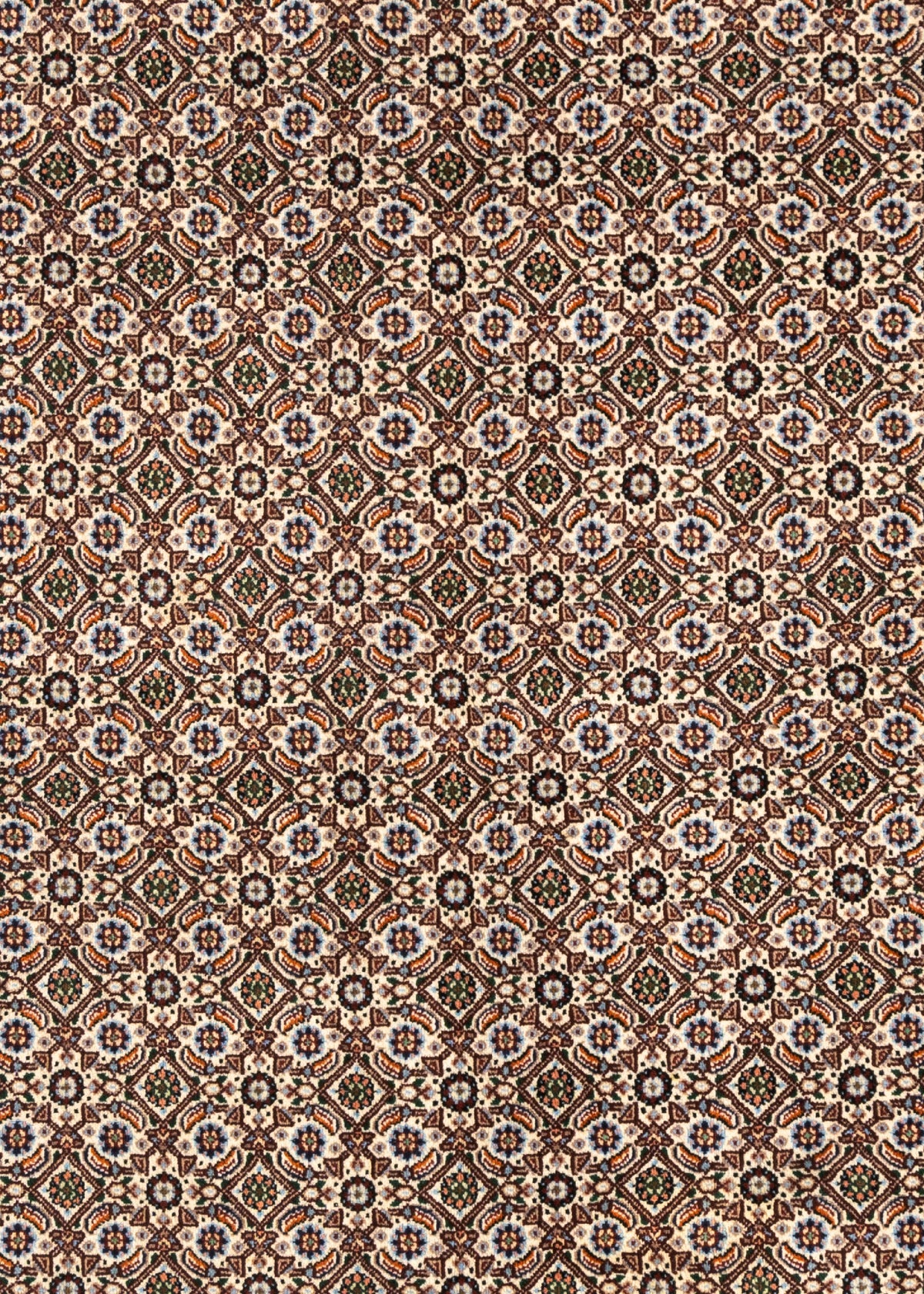 296x197 Moud