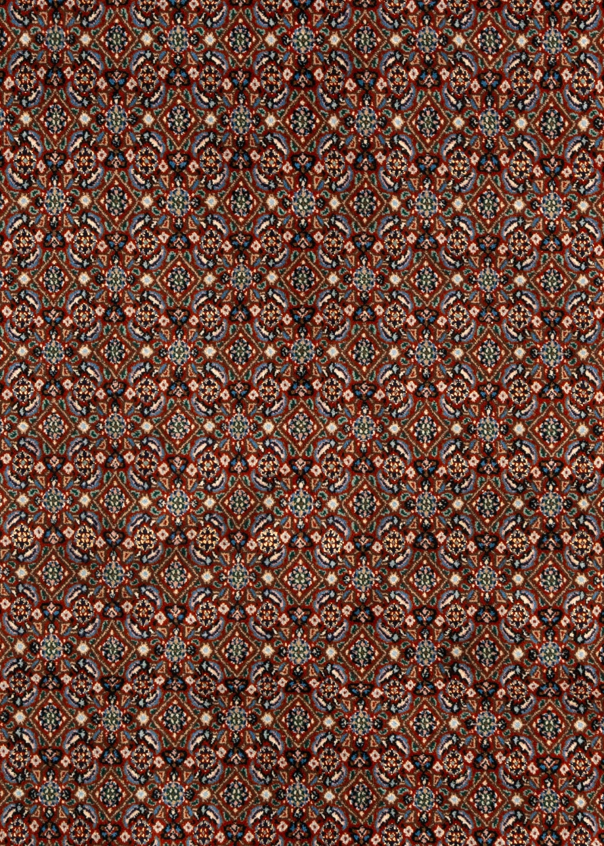 300x201 Moud