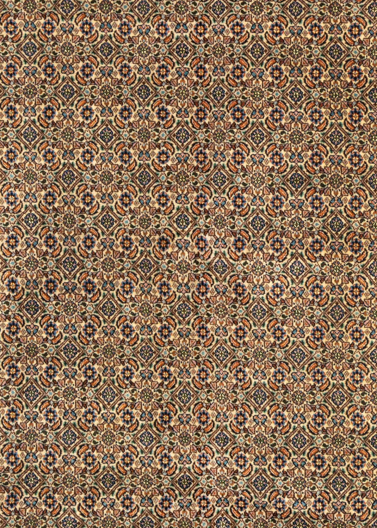 298x202 Moud
