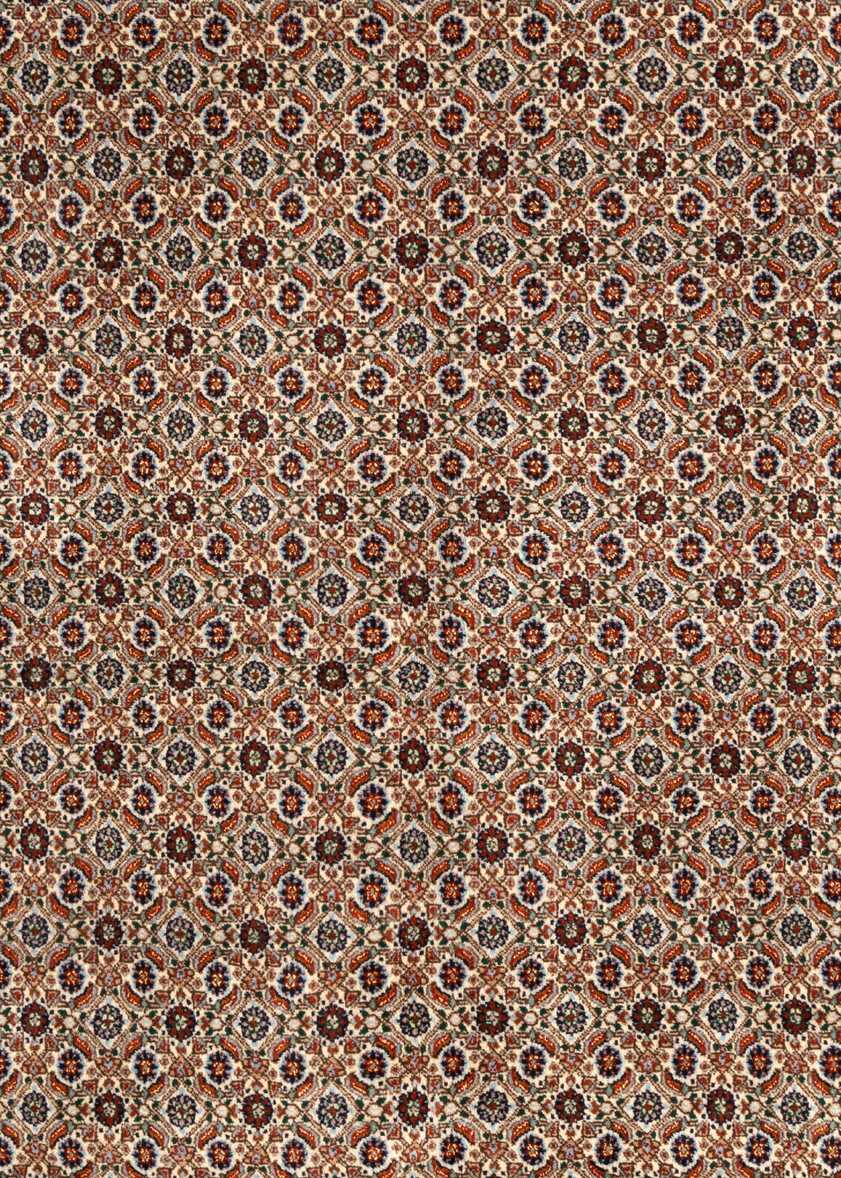 298 x 208 Moud