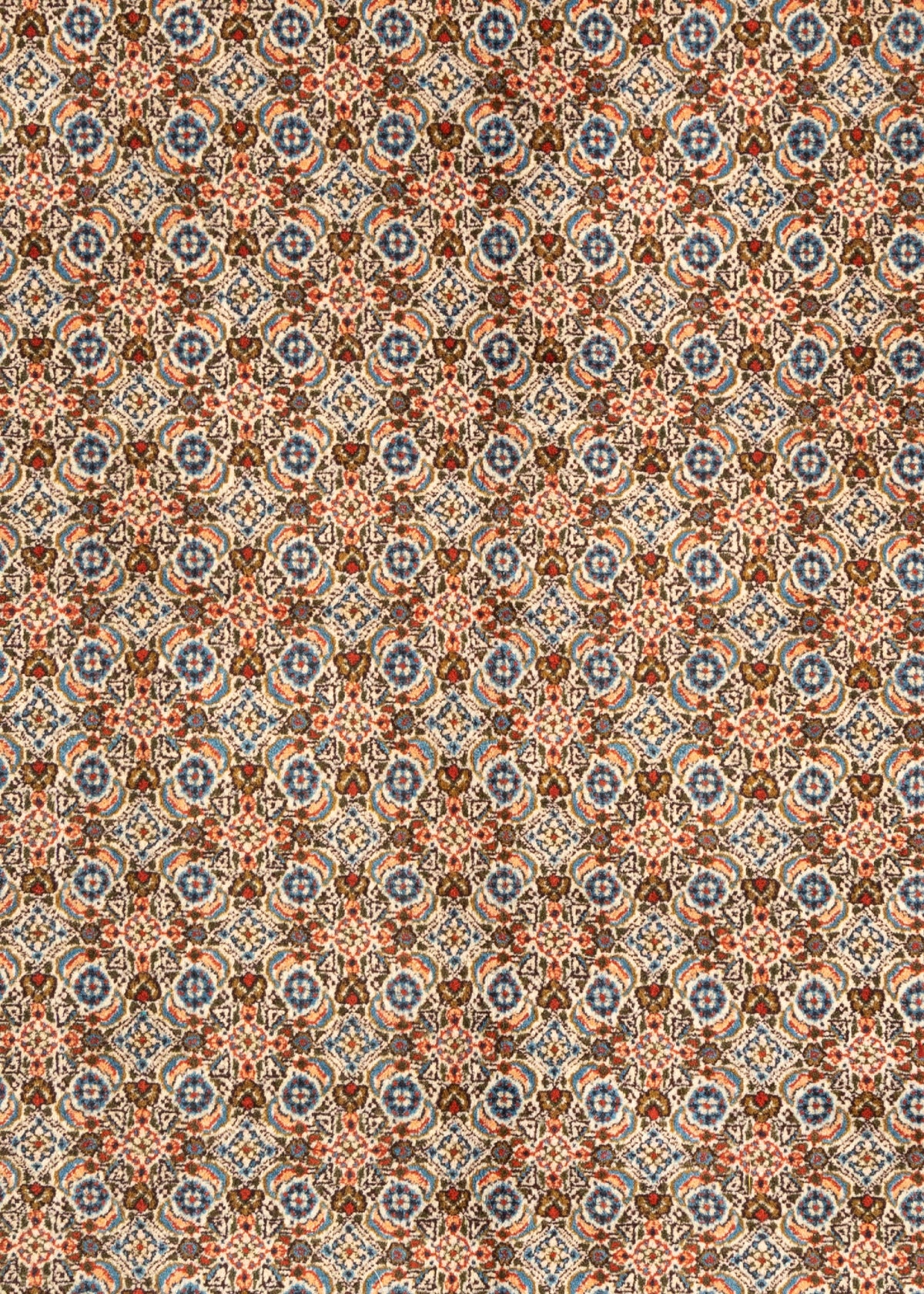 300 x 195 Moud