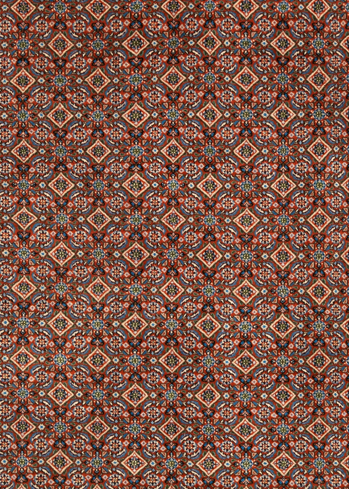 301 x 198 Moud