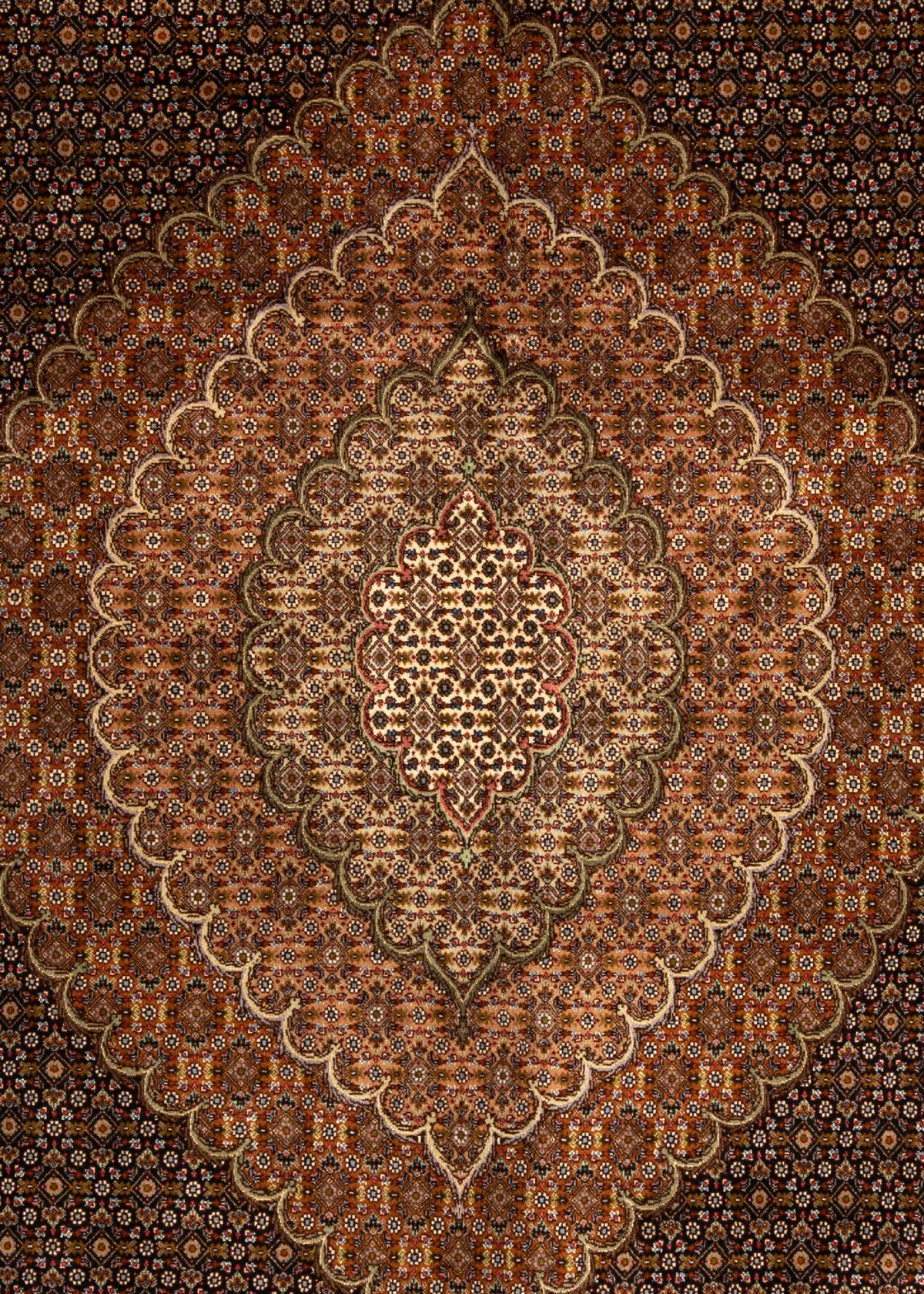 405x298 Tabriz Mahi