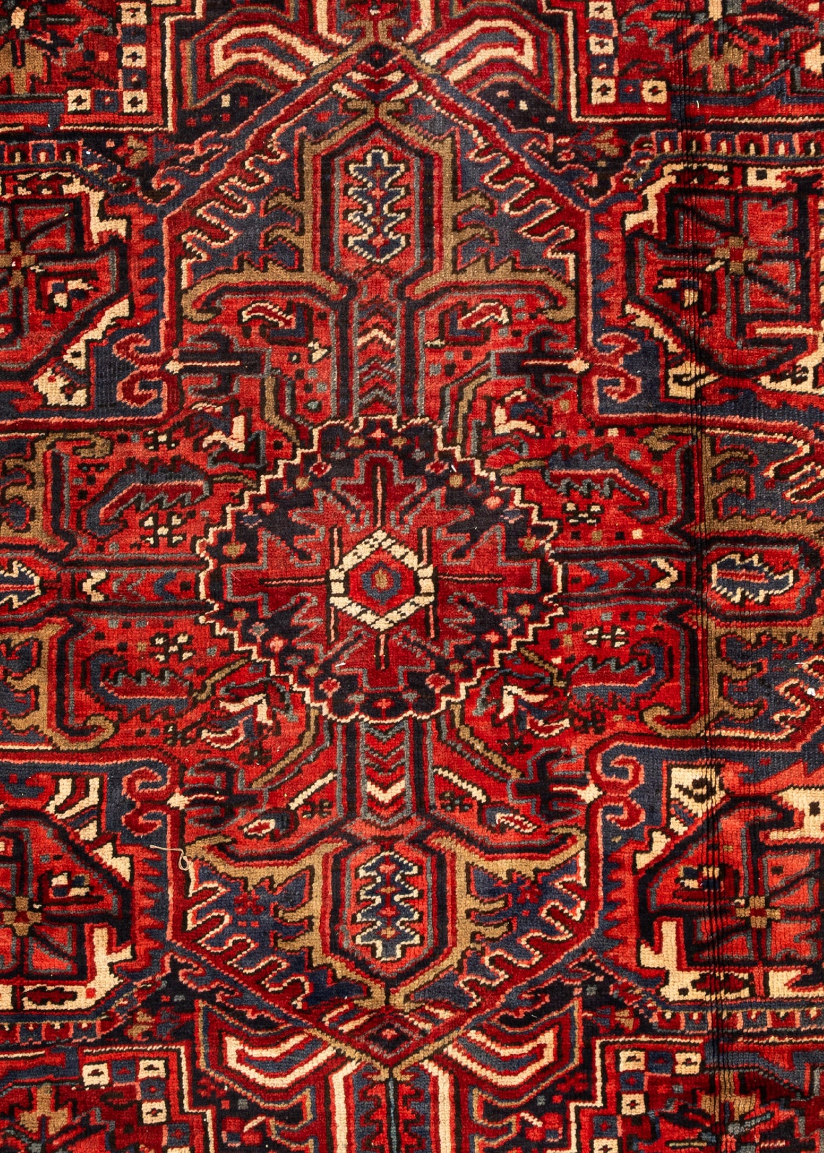 328 x 245 Mehrowan