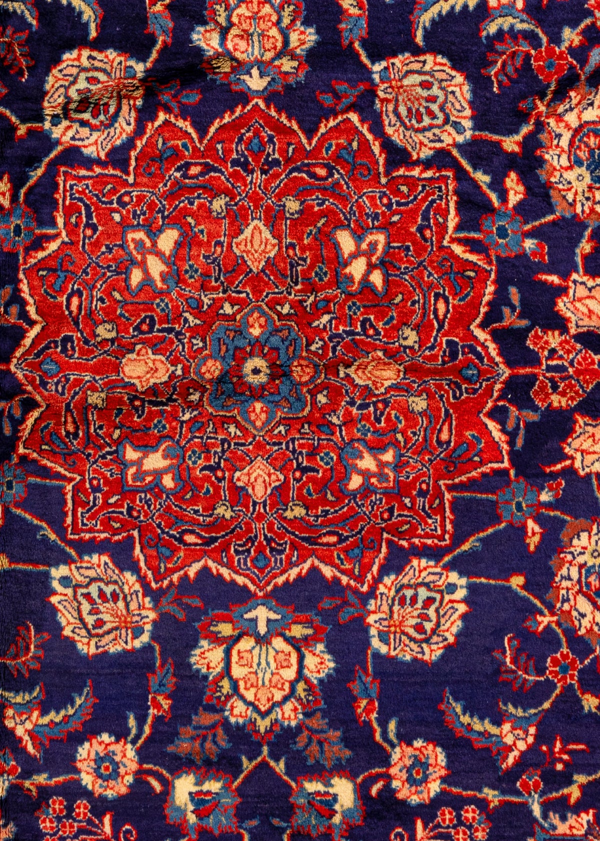 394 x 293 Saruk