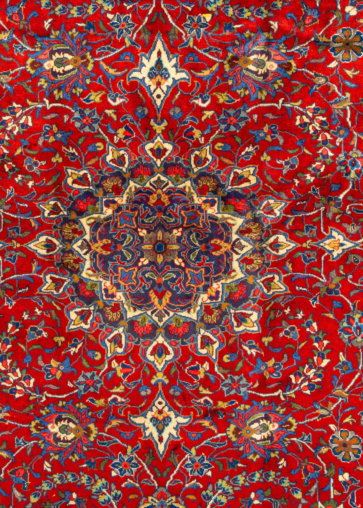 344 x 243 Saruk