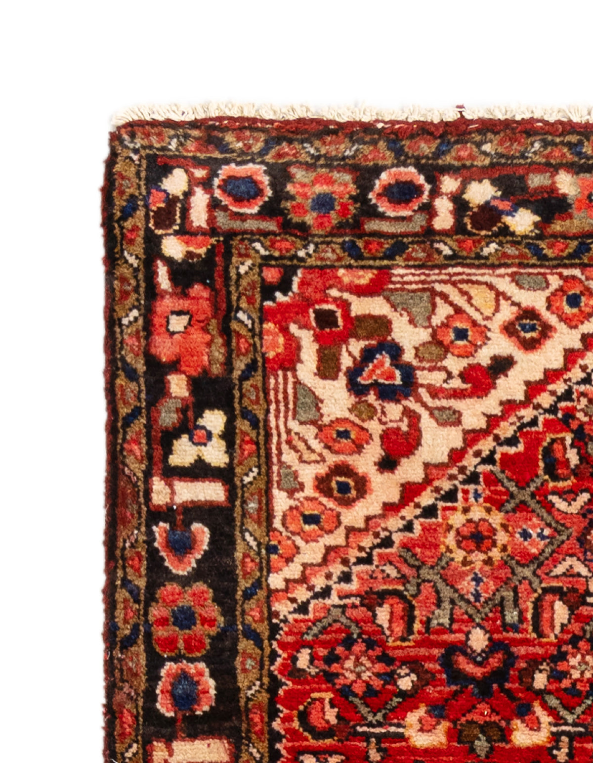 276 x 105 Hamadan