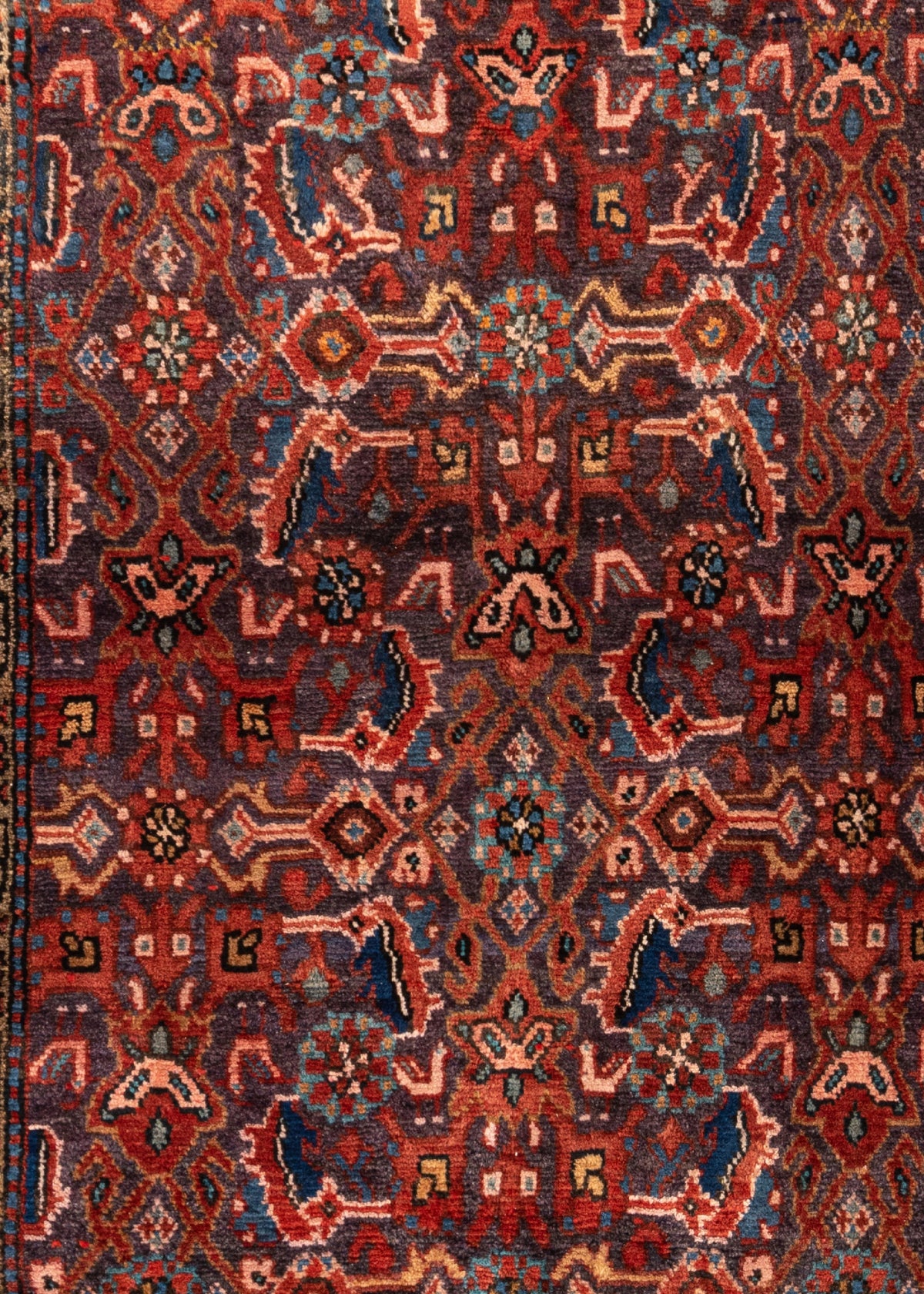 300 x 109 Hamadan