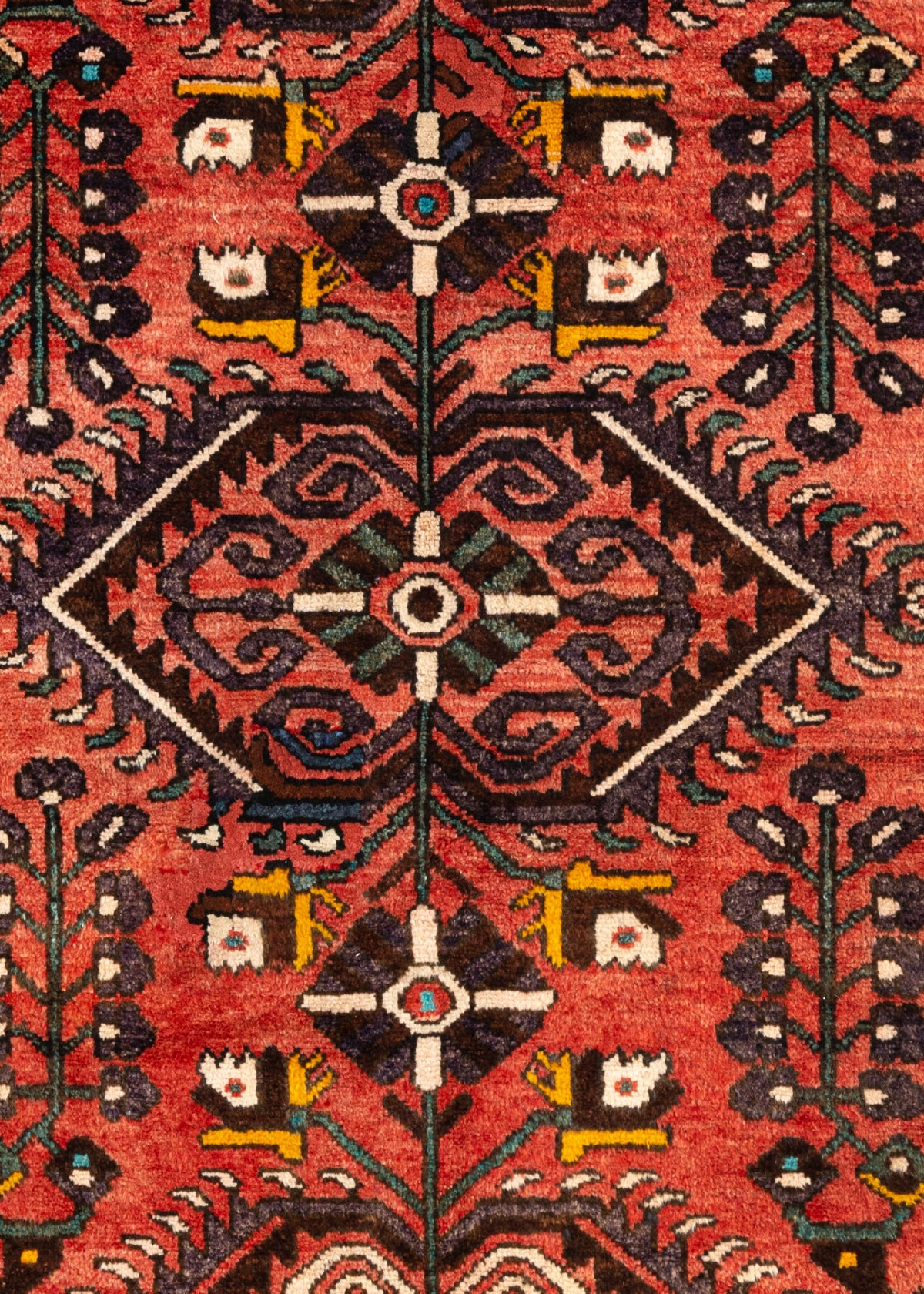 290x116 Hamadan