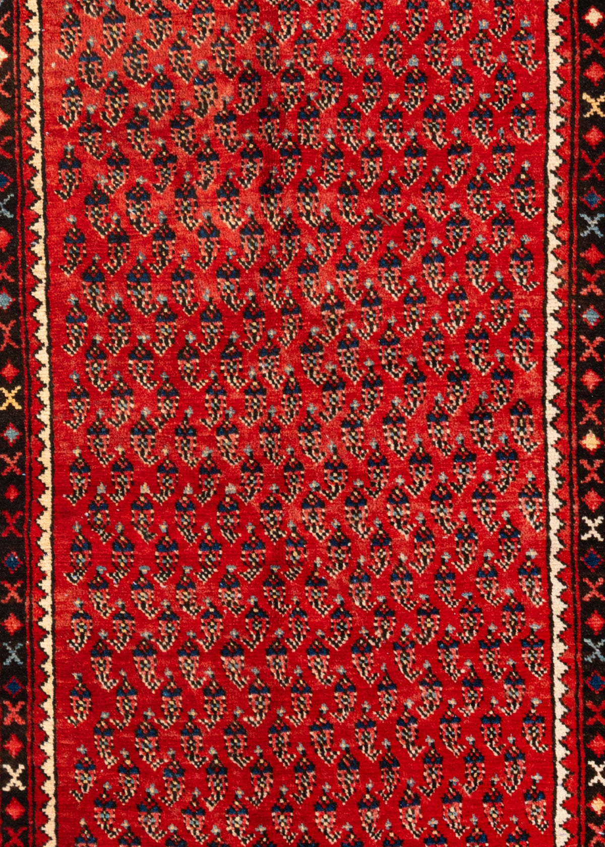 317x106 Hamadan