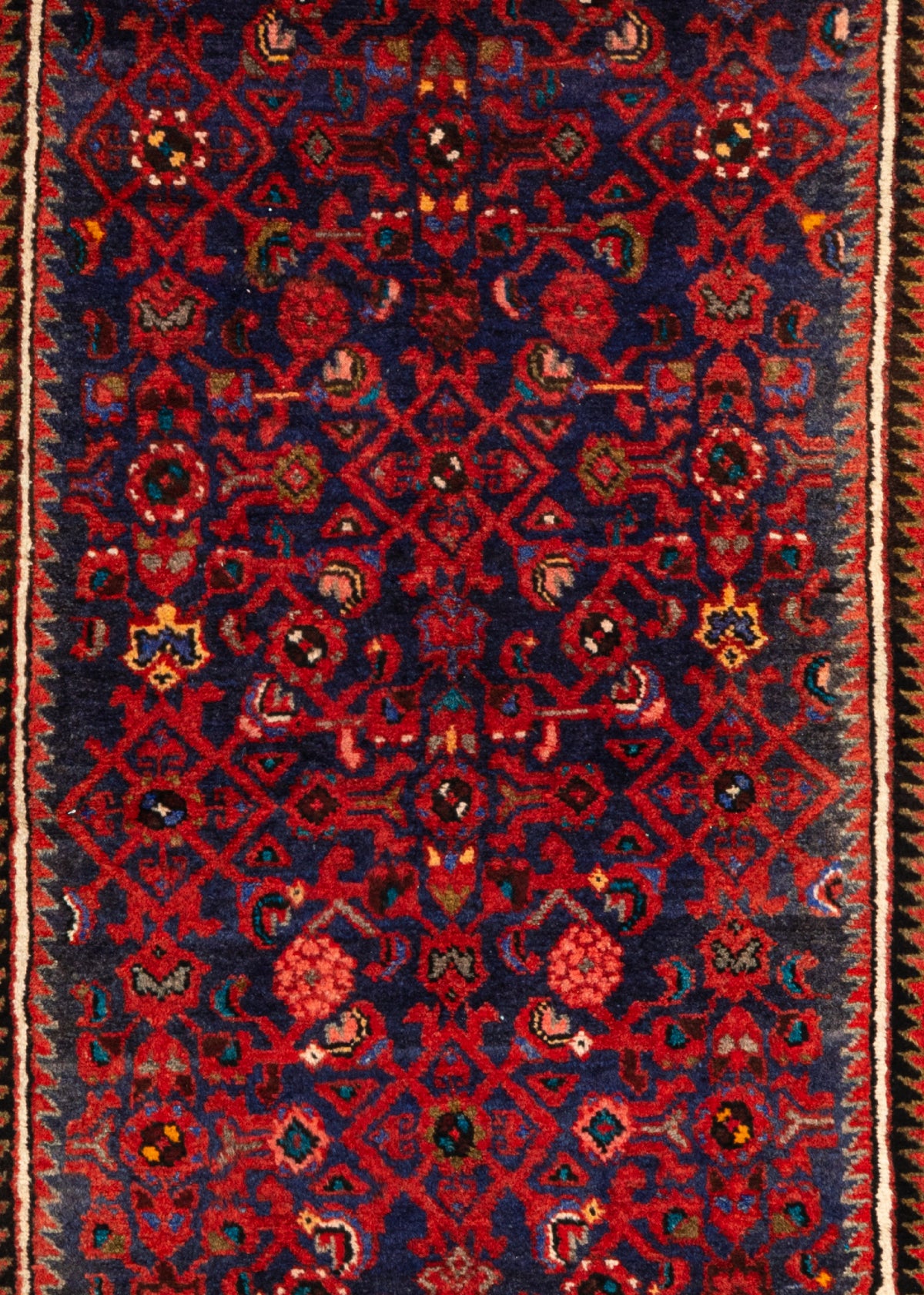 319 x 111 Hamadan