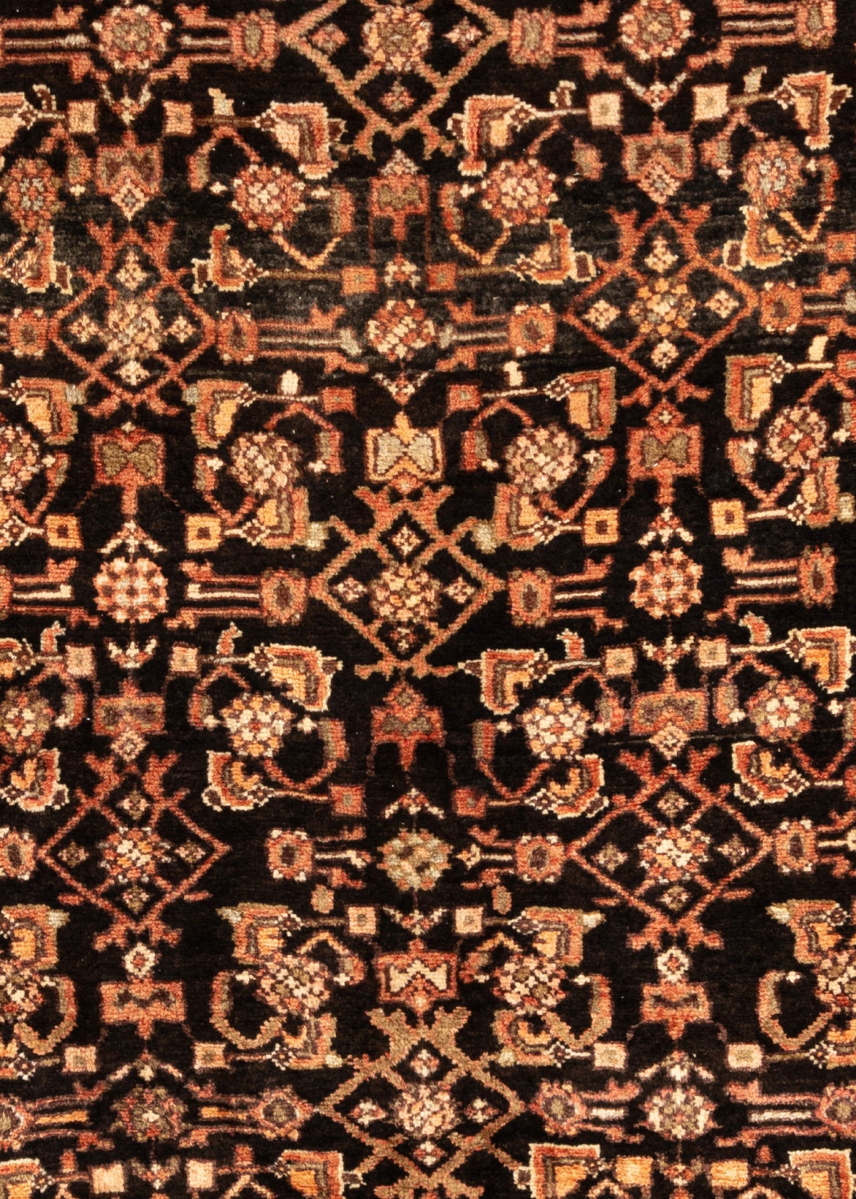 303x119 Hamadan