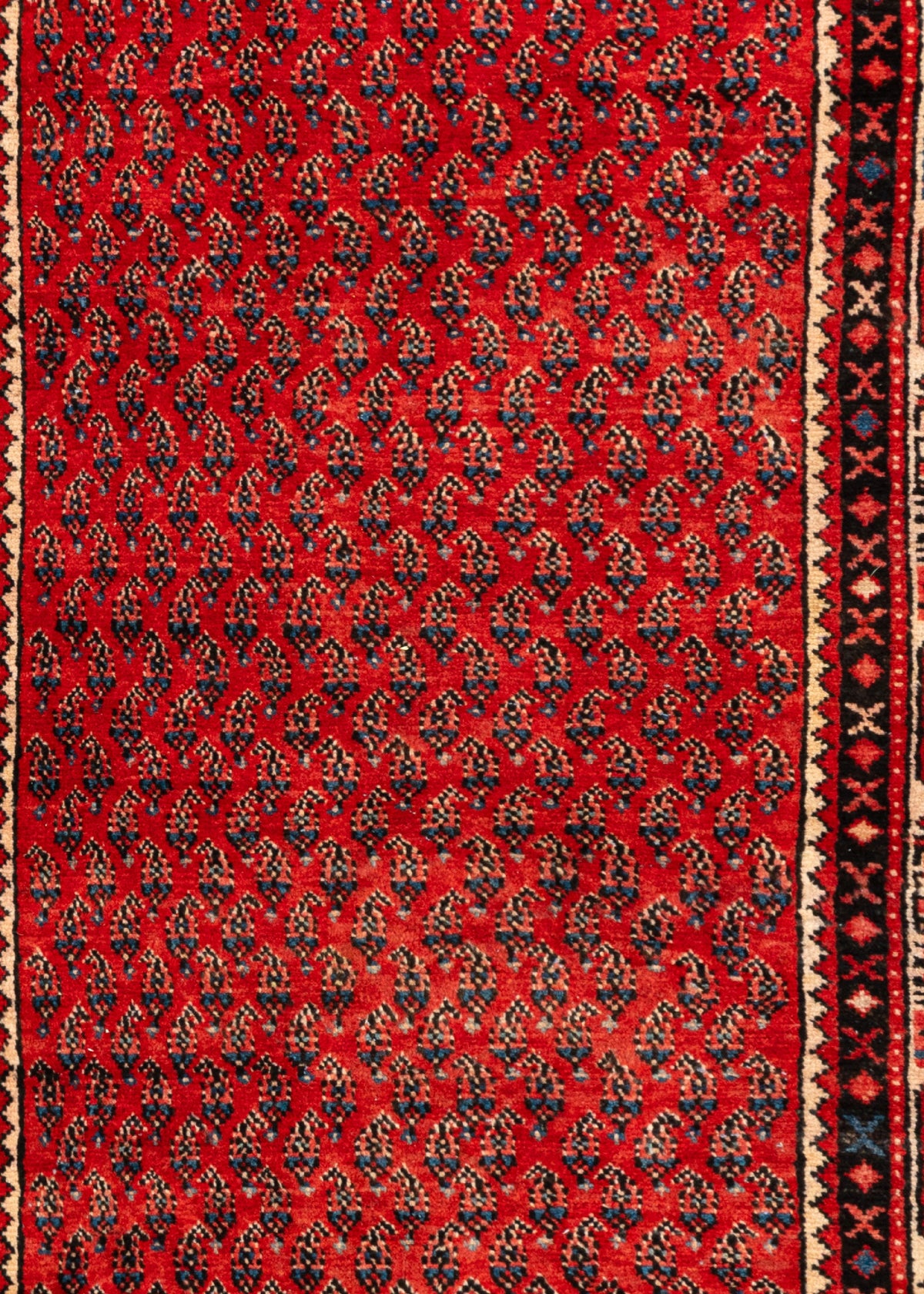 314 x 108 Hamadan