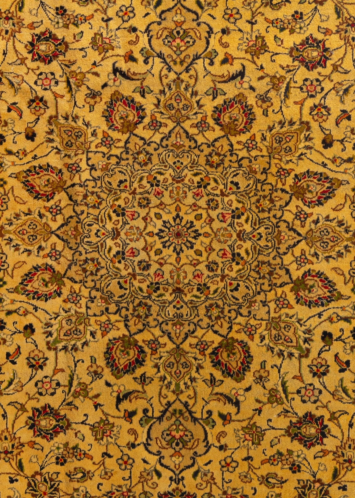 337 x 247 Keshan