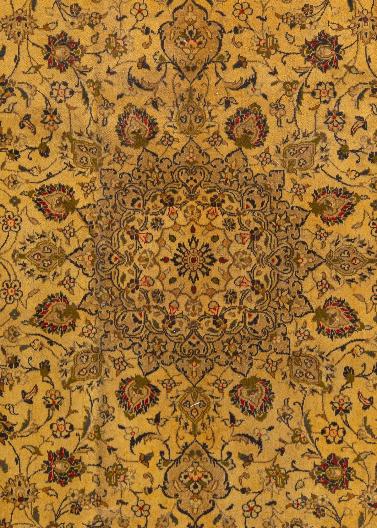 346 x 237 Keshan