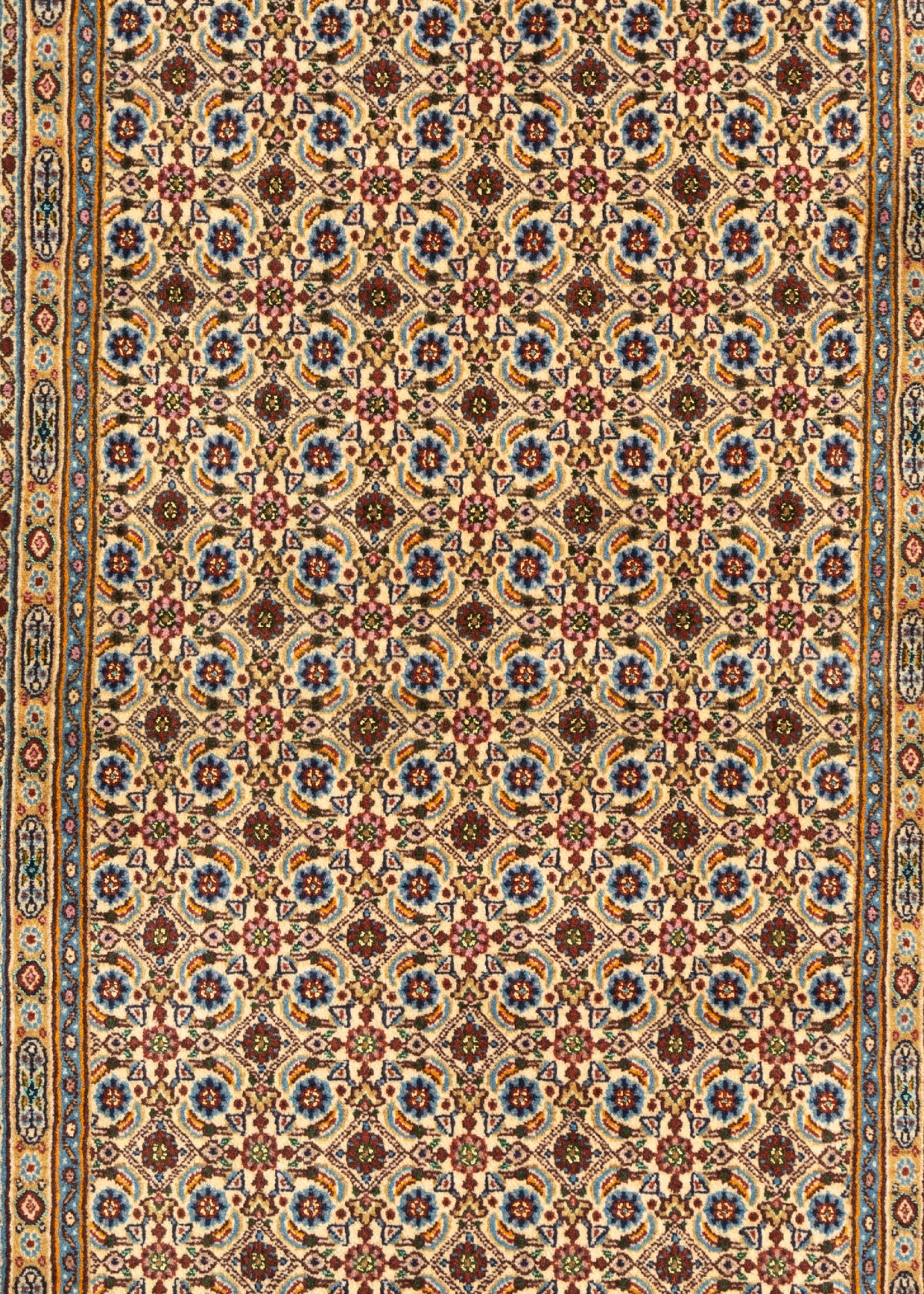 154 x 102 Moud