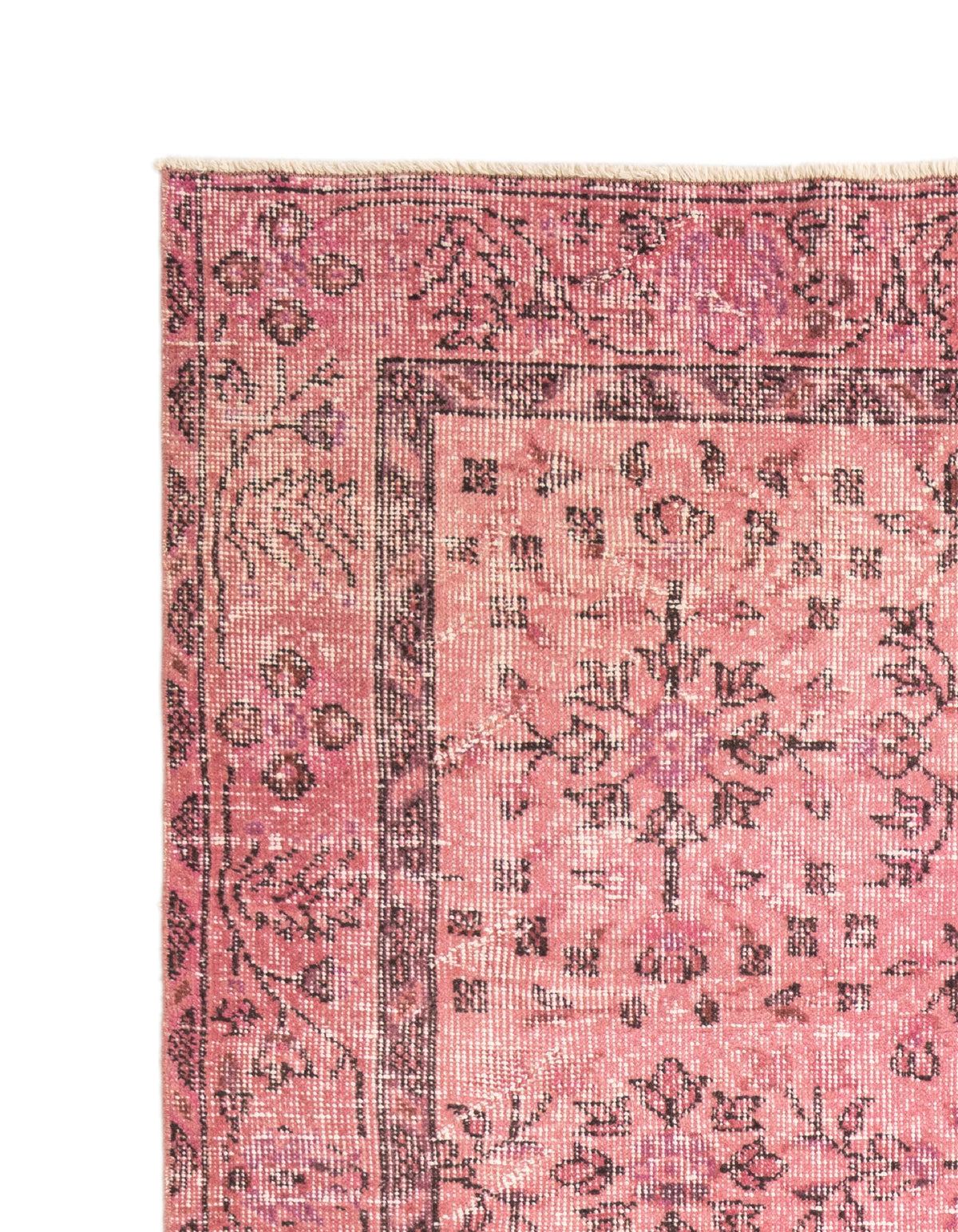 261x146 Vintage Royal